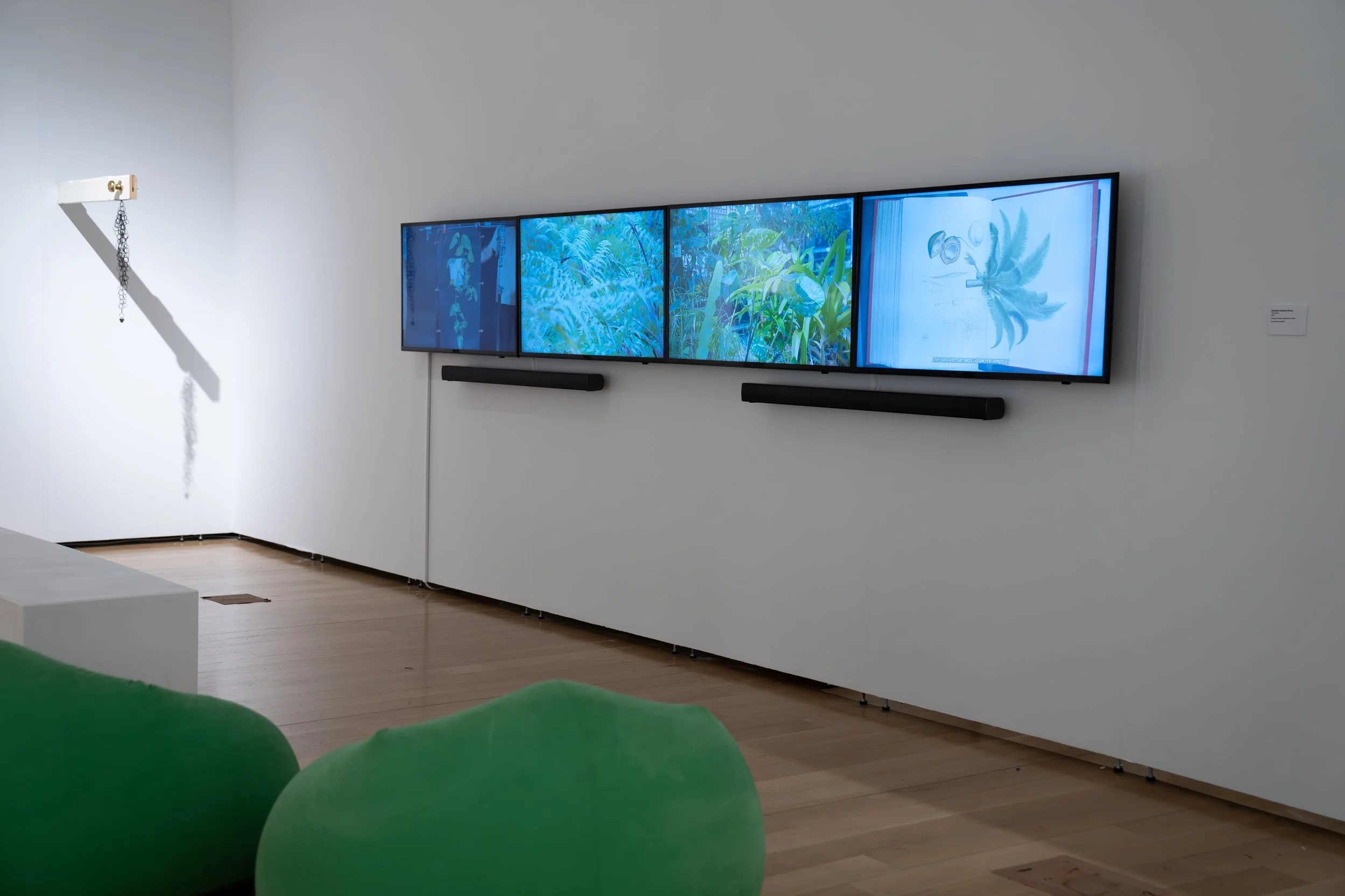 Brandon Aquino Straus, 
Flora After, 
2026, 
4-channel video installation (12:48); source also notes video converted into one channel. 
Dimensions variable