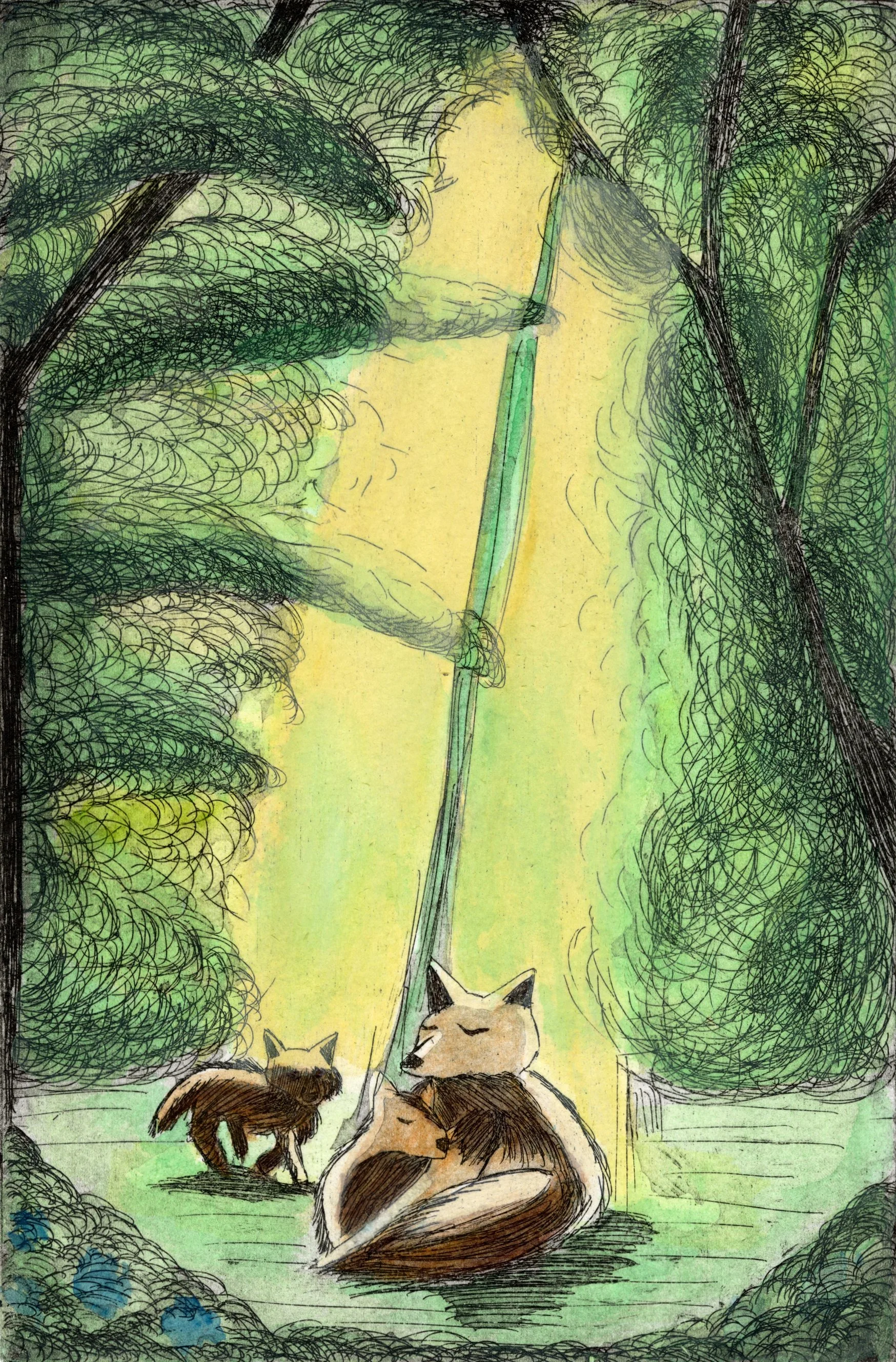 "Foxes" 2025, Print from etched zinc plate with water color, 12” x 17”  