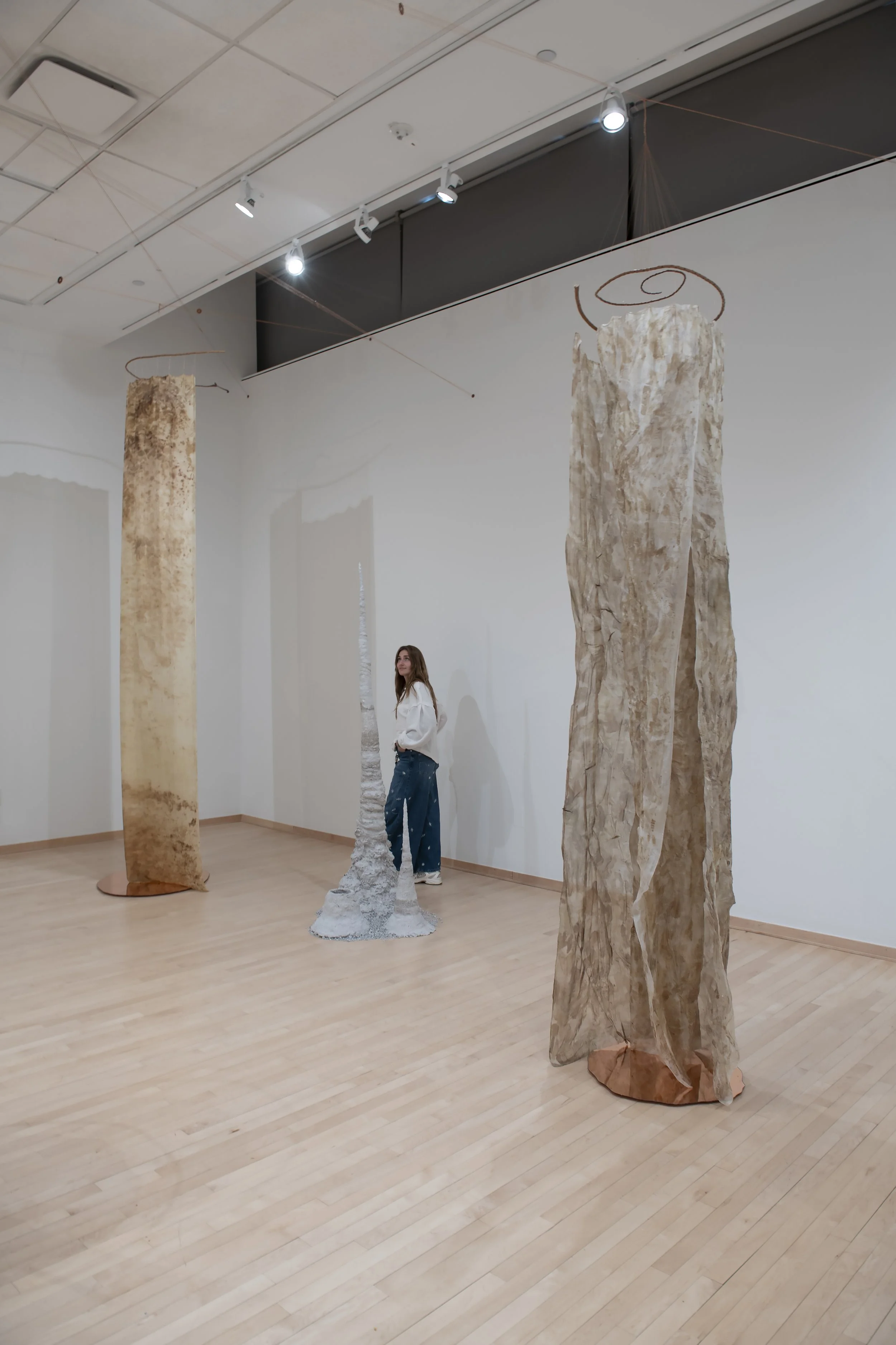 "If a Tree Falls" Installation View, Photo Credit: John Carlano