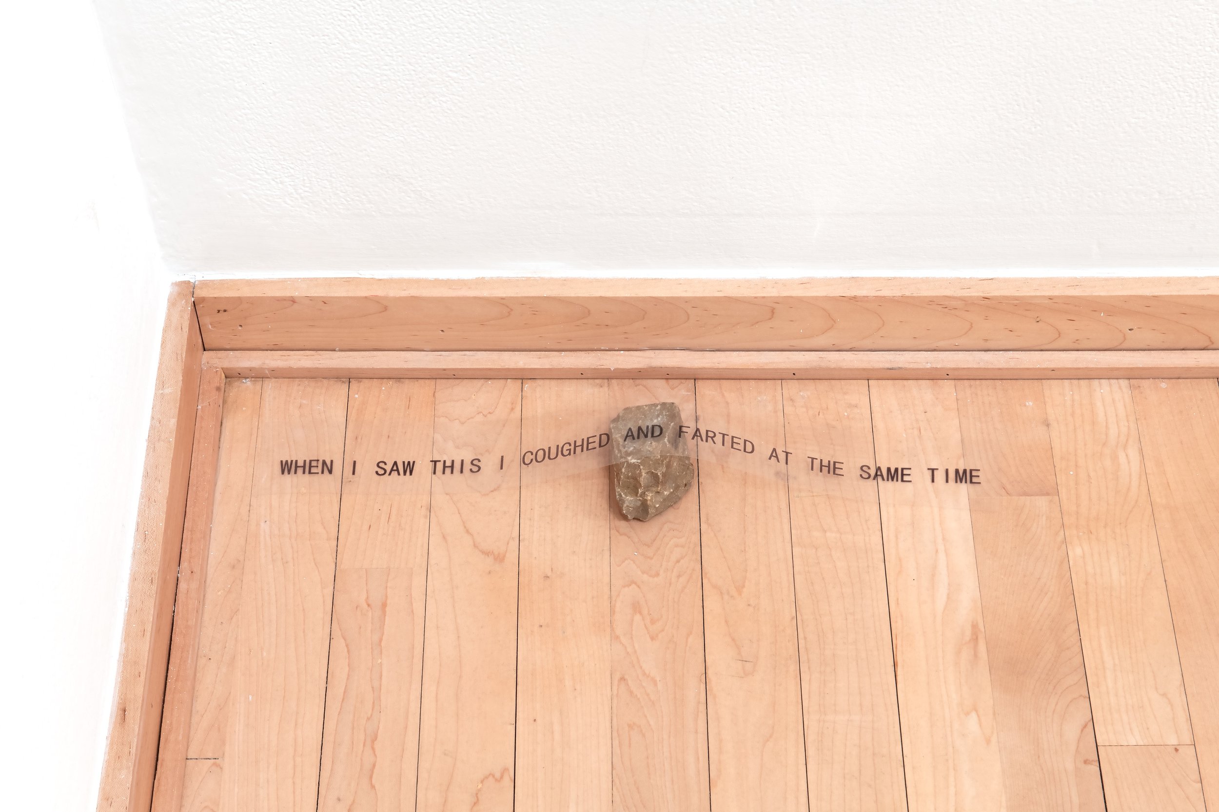 "When I saw this I coughed and farted simultaneously"
Inkjet on transparency, rock. 1" x 19.5" x 3".
Photo credit: John Carlano.