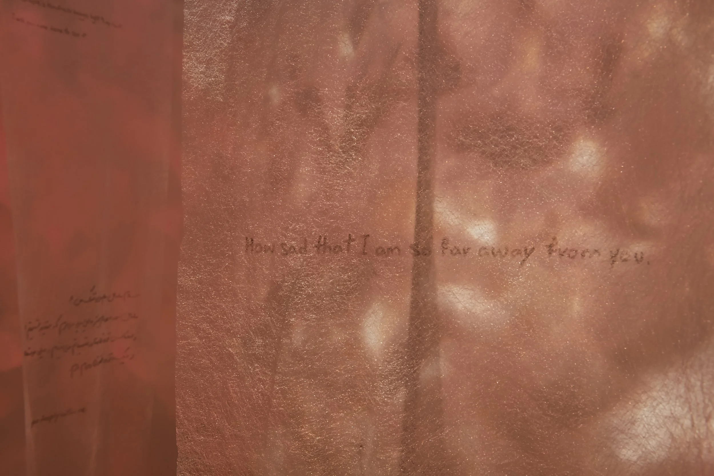 "Your Trace in the Farthest Nearness"
Detail. 
Mixed media installation with overhead projection, phytograms, transparent fabric, and handwritten text. 

Dimensions variable. 

Photo credit: John Carlano 