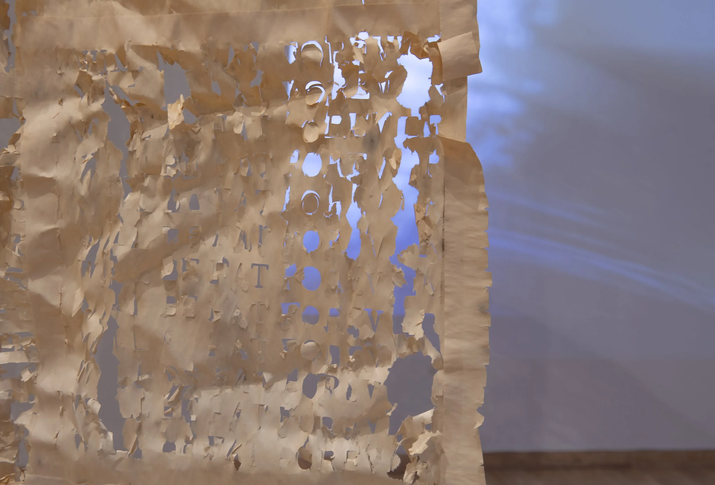 "life pro" (detail), Installation View, Photo Credit: John Carlano