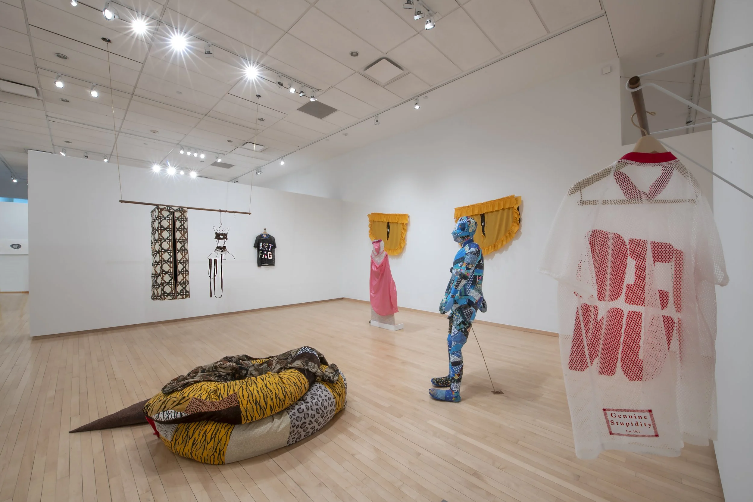 "The Cat's Mouth
cuts like pinking shears" Installation View. Photo Credit: John Carlano