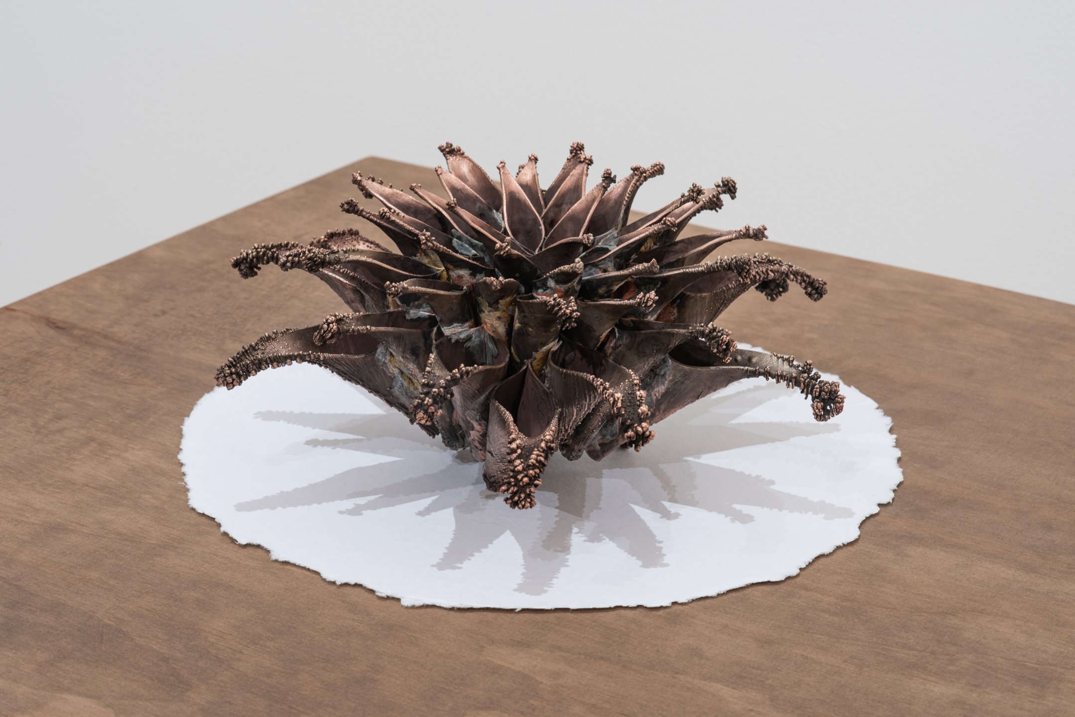 "Seeking"
Copper, 12” x 12” x 4”
Photo Credit Neighboring States