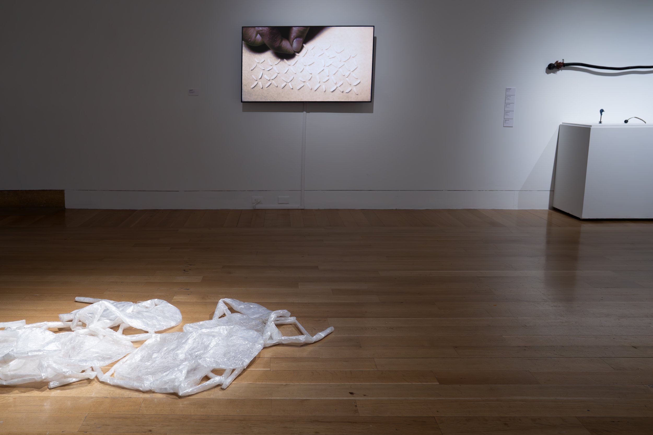 ev Leto, 
Untitled, tape chairs (front) ,
2024-2025, 
Packing tape. 
Dimensions variable 
and
Jessalyn Mailoa, 
Tender Fixation, 
2024, 
One-channel video installation. 
Dimensions variable 