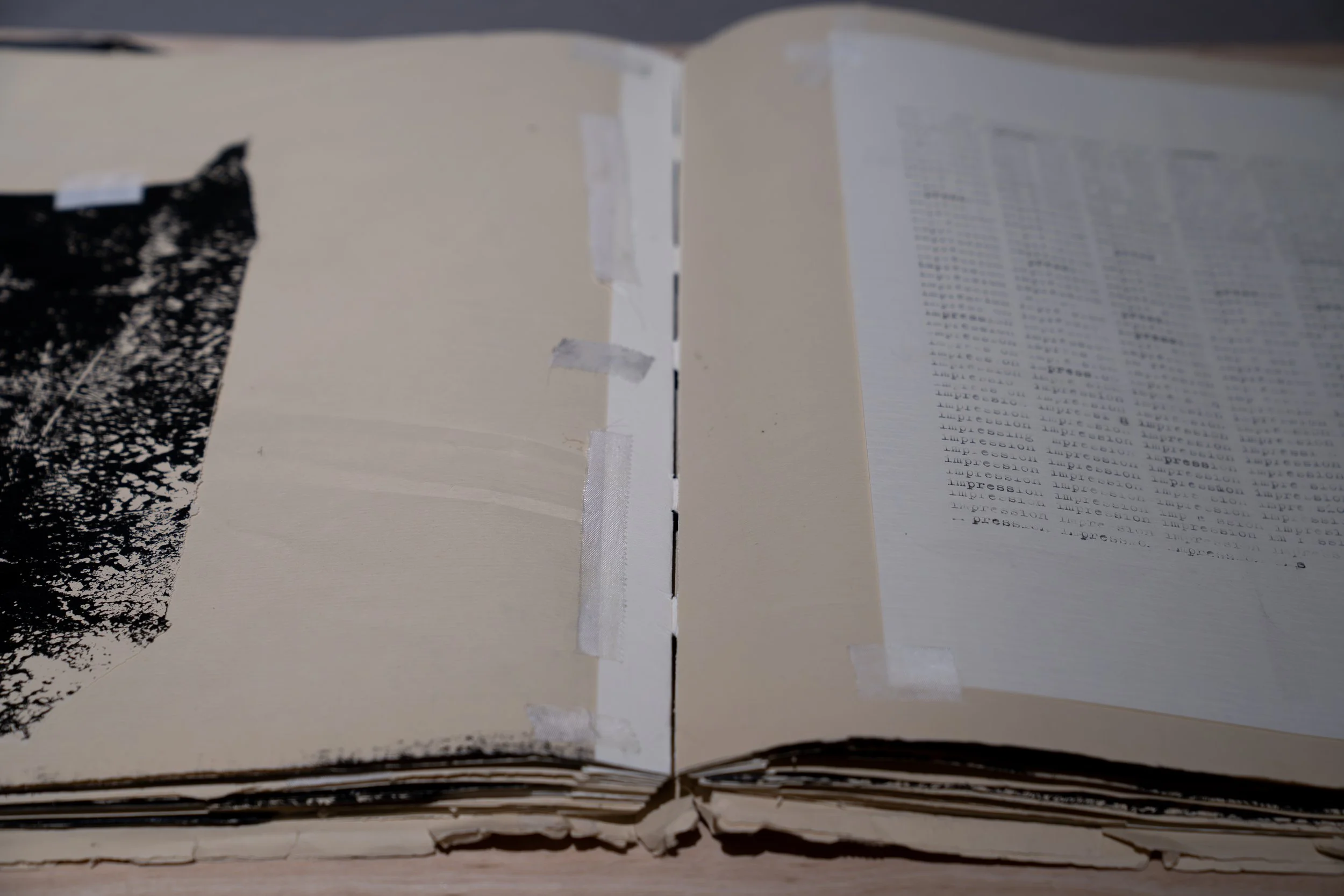 ev Leto,
Artist books, 
2024-2025,
Dimensions variable