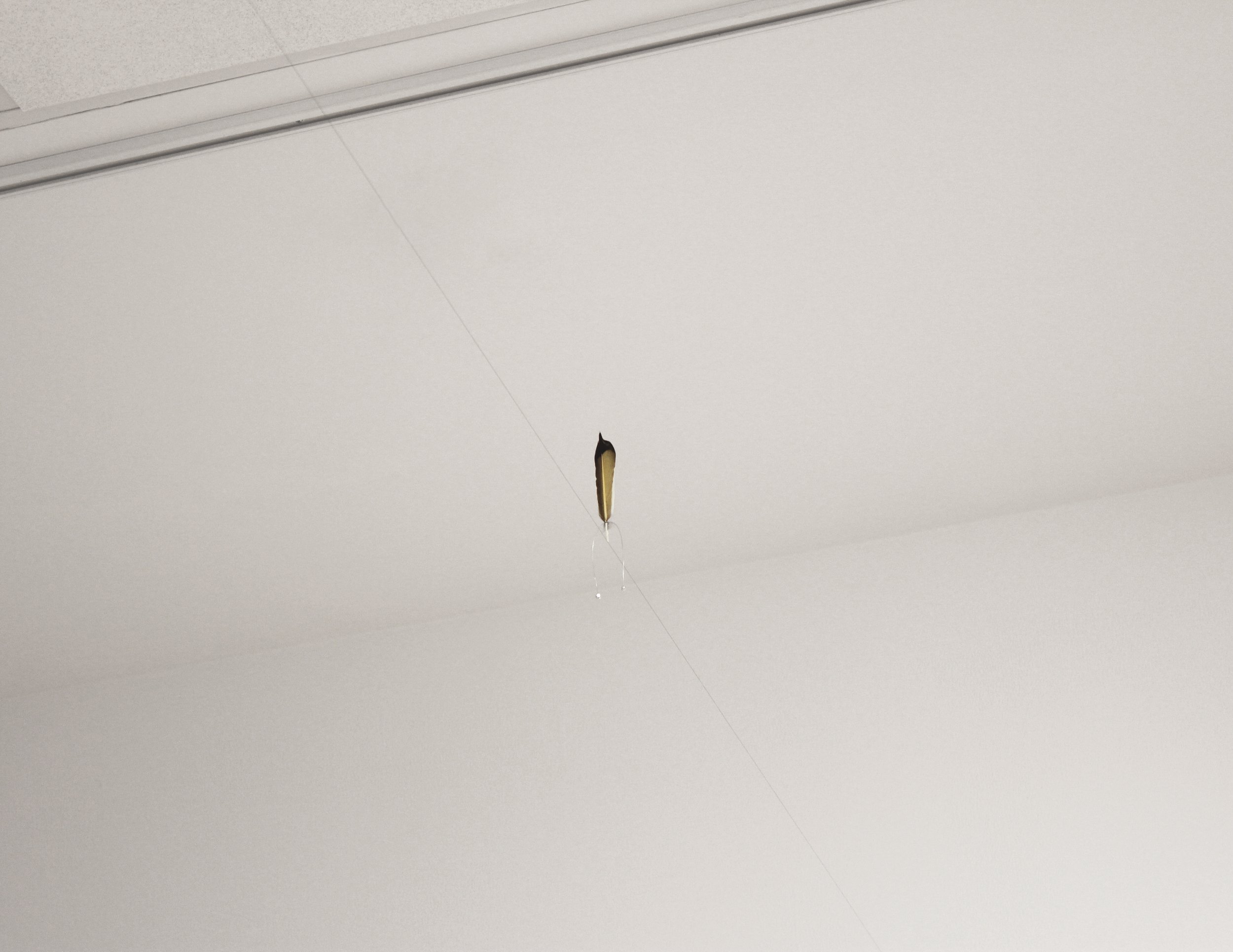 "Trip the Light"
feather, split shot, wire
dimensions variable
Photo credit: Mika Obayashi