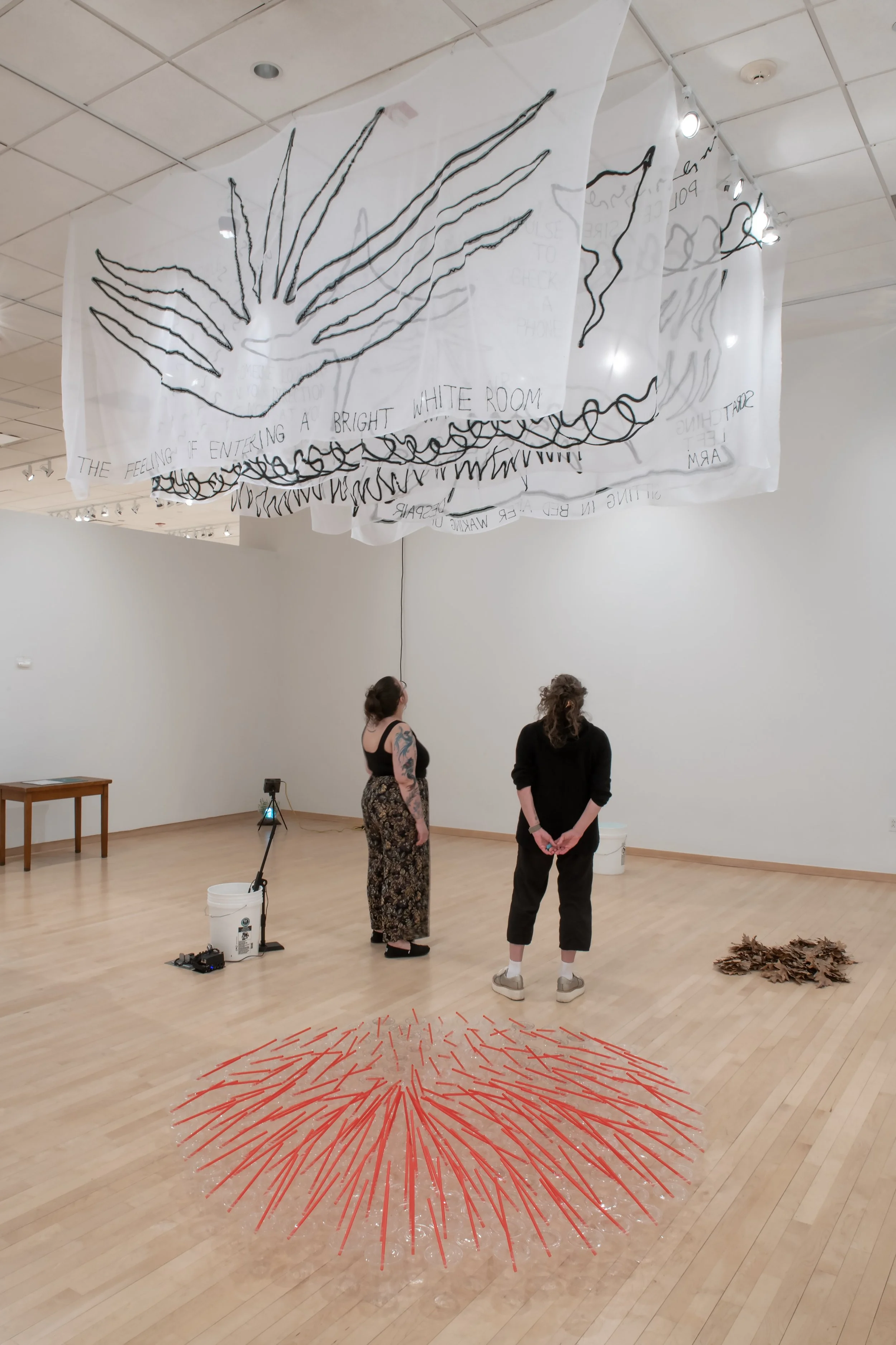 "Emergency Contact" Installation View, Photo Credit: John Carlano