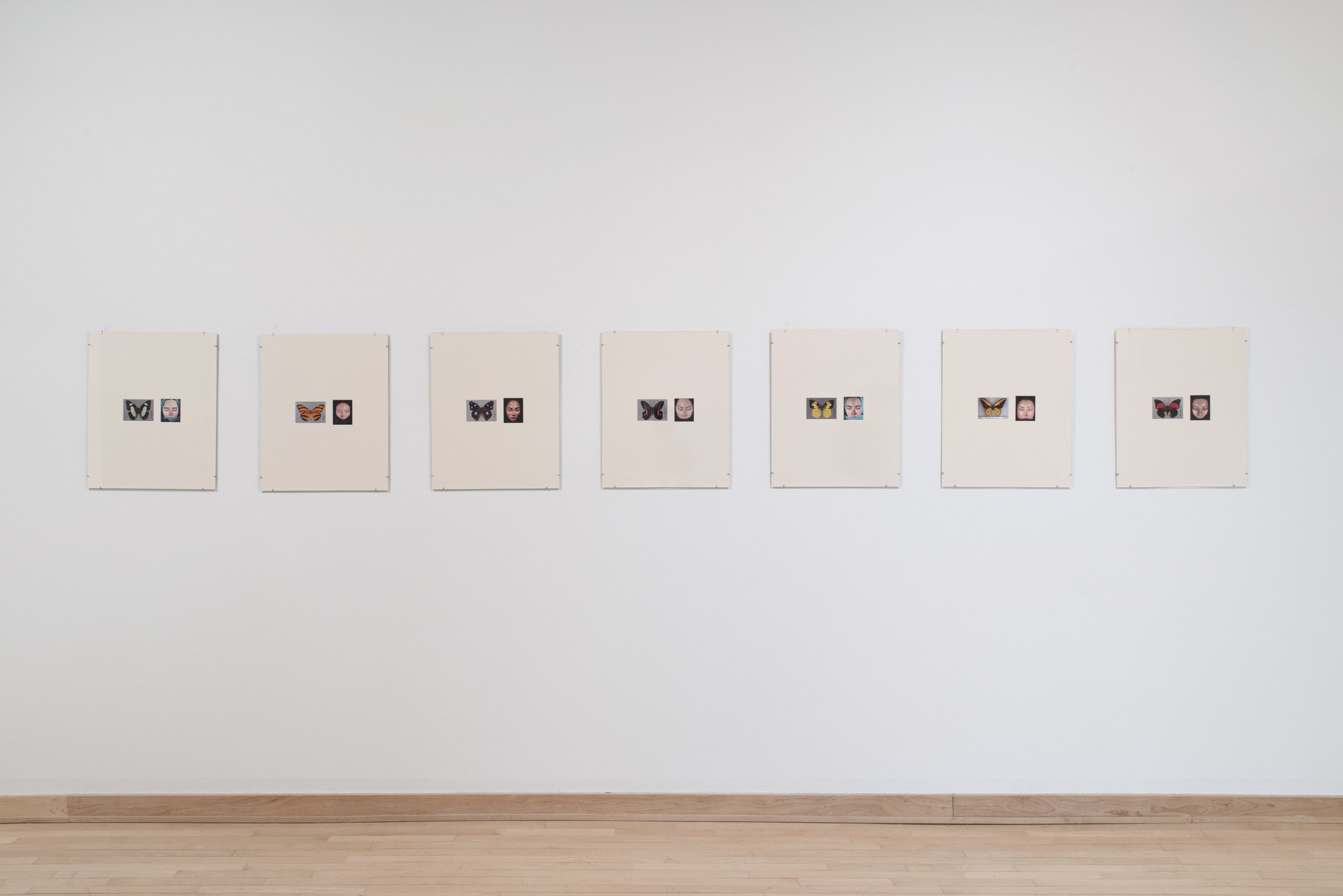 "Introverted Painting no. 1-7," Inkject photos, matboard, framing clips, UV glass. Overall: 162" x 22", Each: 18" x 22", 2025, Photo Credit: Neighboring States