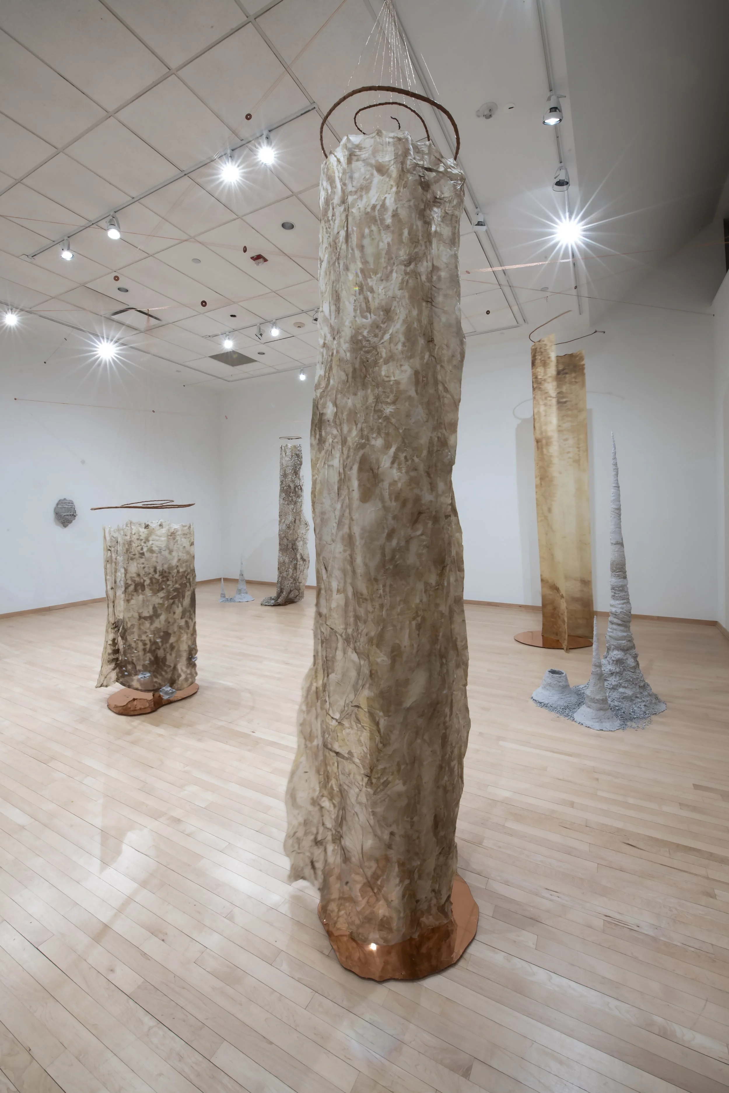 "Syntropy Forms (Saints)"

Installation view. 

Silk dyed with leaves foraged from the farm I give my compost. Smoketree branches from the parking lot next door. Copper wire, plate, and leaf. Catalogs and magazines collected from numerous friends, re