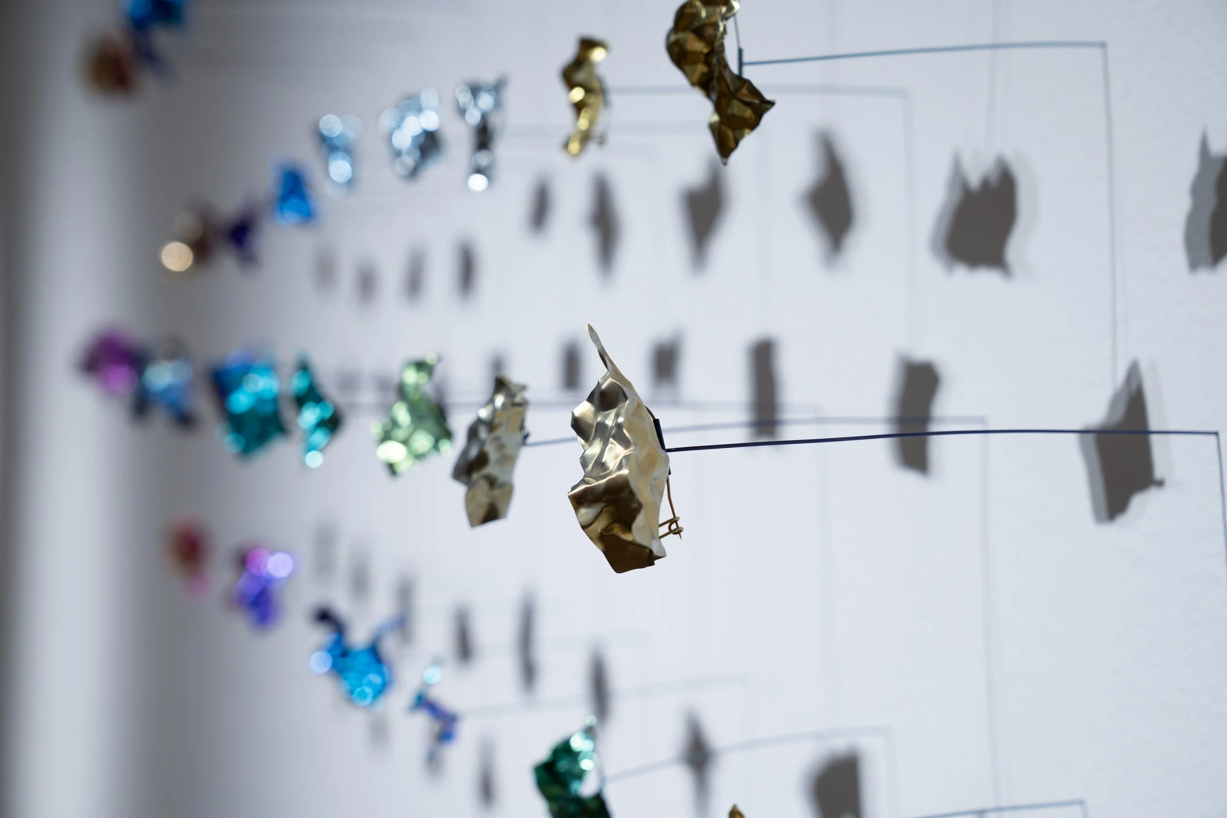 Weiwei Li, 
Quiet Fragments, 
2026, 
Titanium, niobium, gold foil. 
38 individual pieces. 
 55" x 17" x 6"
