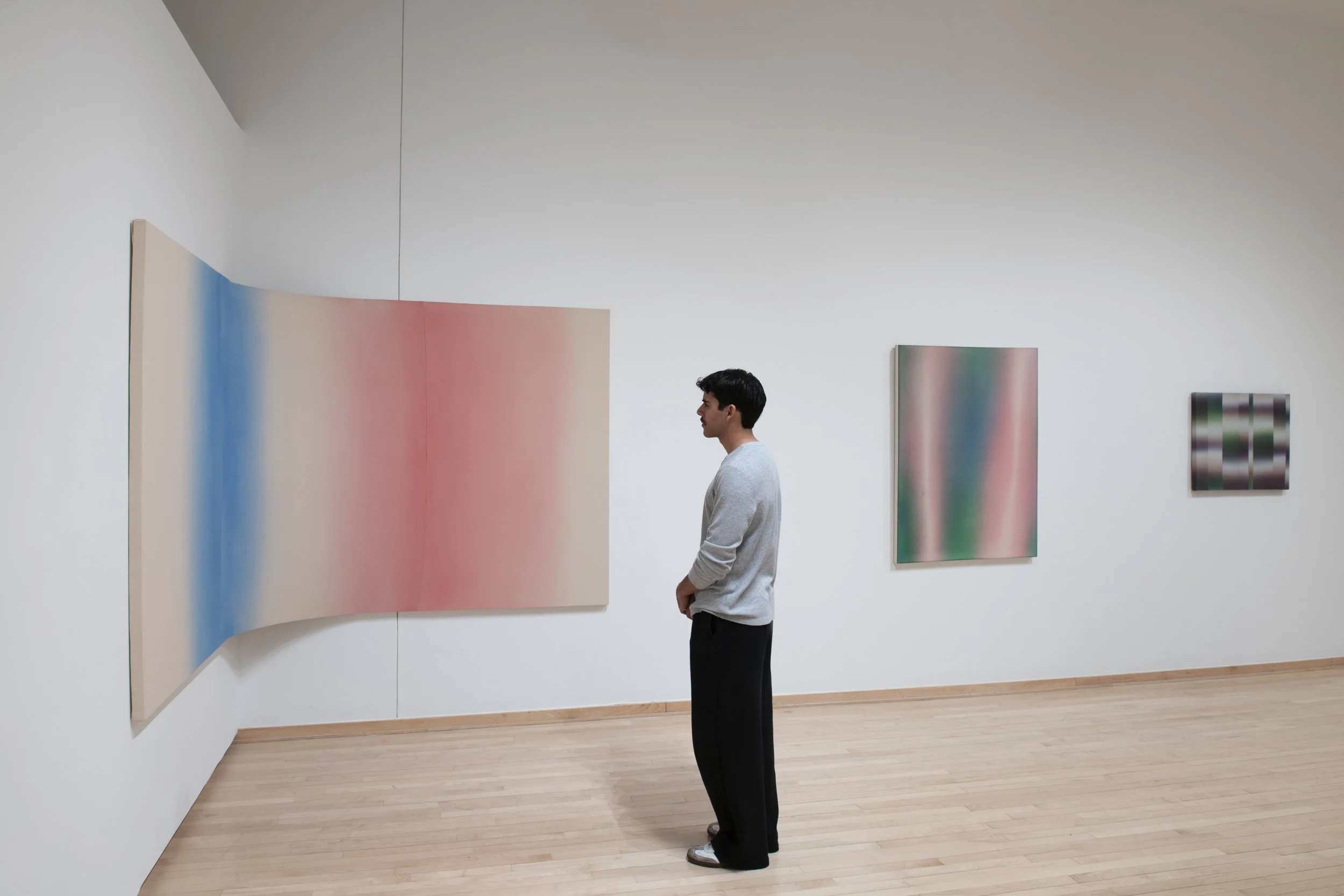 "Bloom" Installation View, Photo Credit: John Carlano