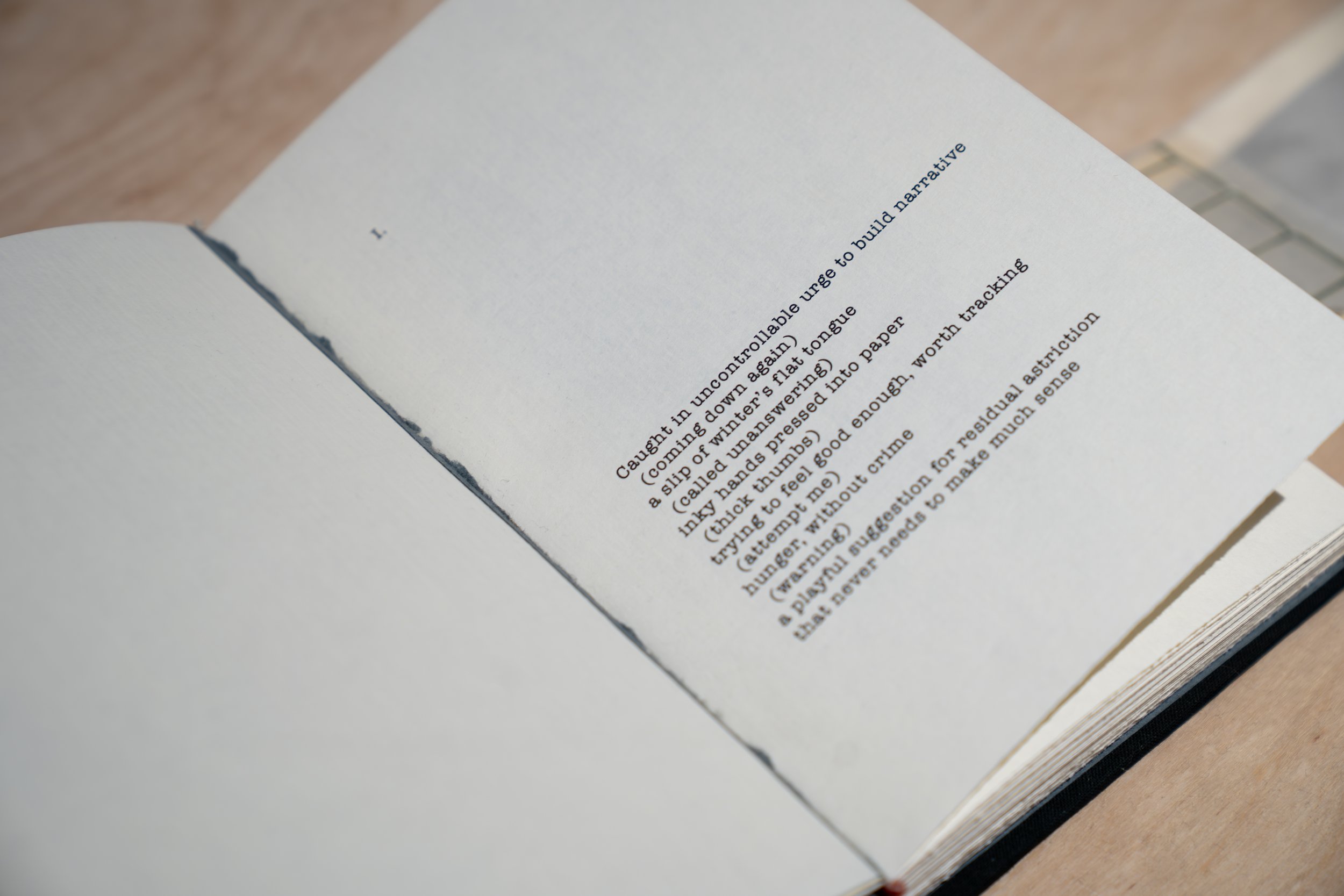 ev Leto,
Artist books, 
2024-2025,
Dimensions variable