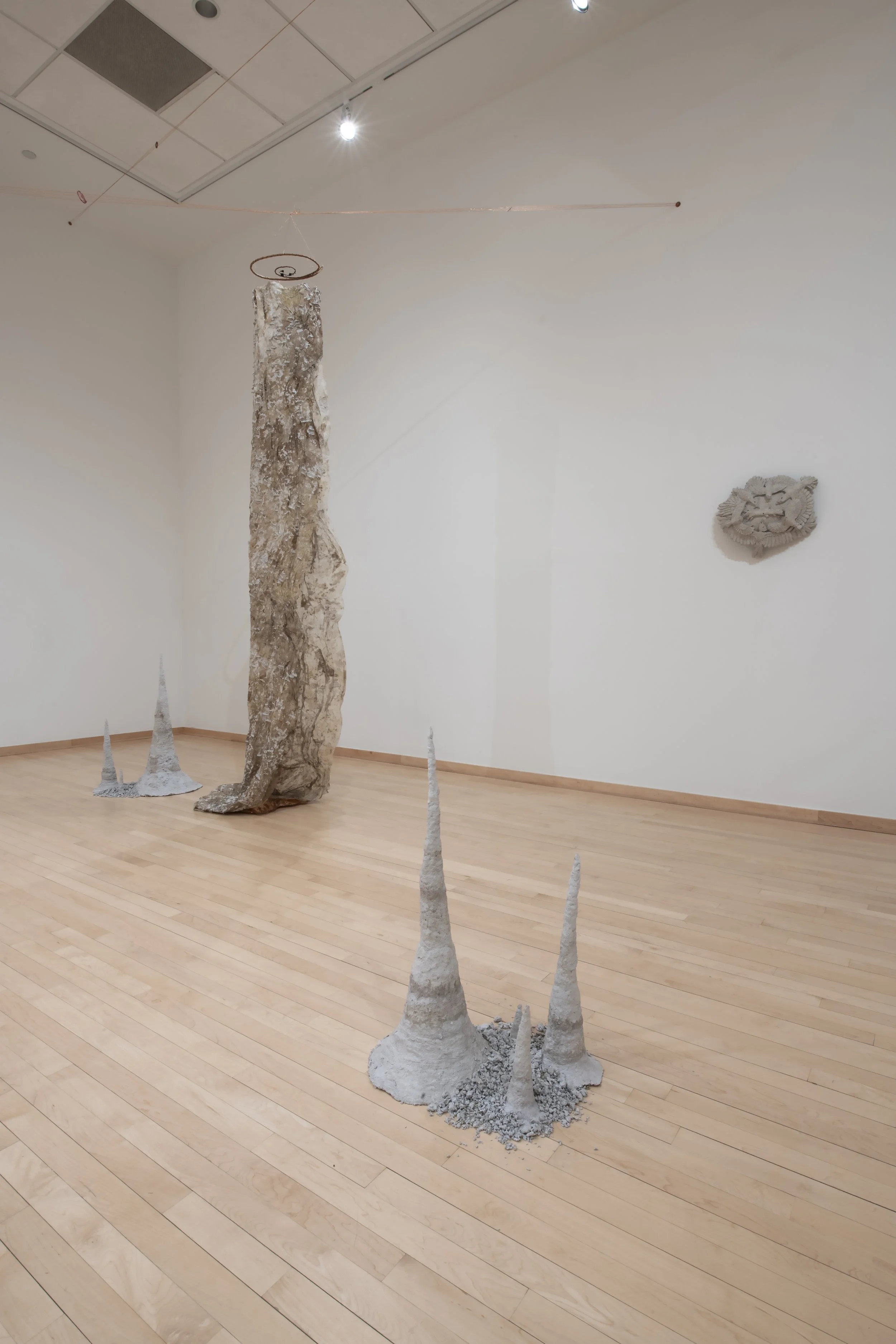 "Syntropy Forms (Saints)"

Installation view. 

Silk dyed with leaves foraged from the farm I give my compost. Smoketree branches from the parking lot next door. Copper wire, plate, and leaf. Catalogs and magazines collected from numerous friends, re