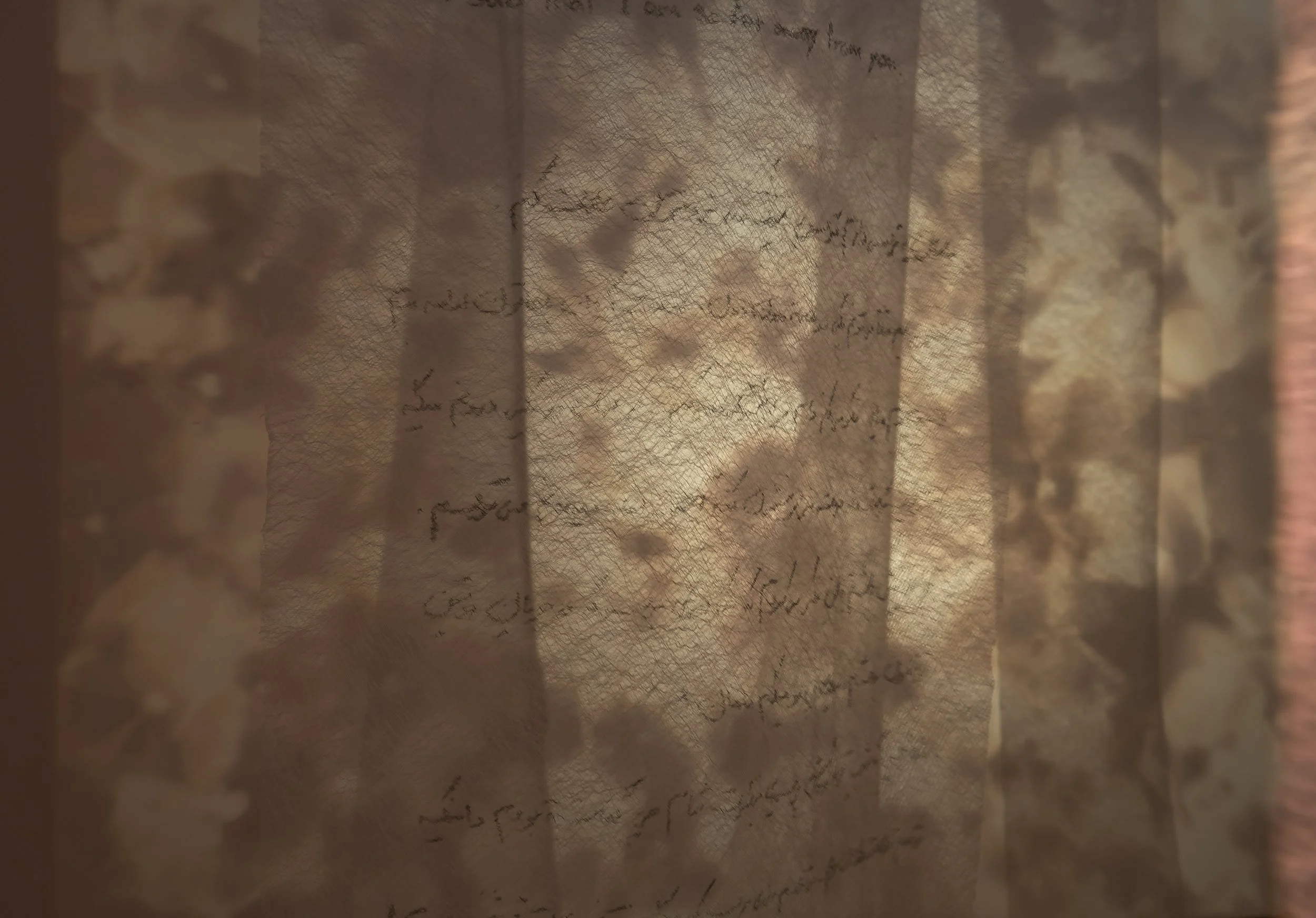 "Your Trace in the Farthest Nearness"
Detail. 
Mixed media installation with overhead projection, phytograms, transparent fabric, and handwritten text. 

Dimensions variable. 

Photo credit: John Carlano 