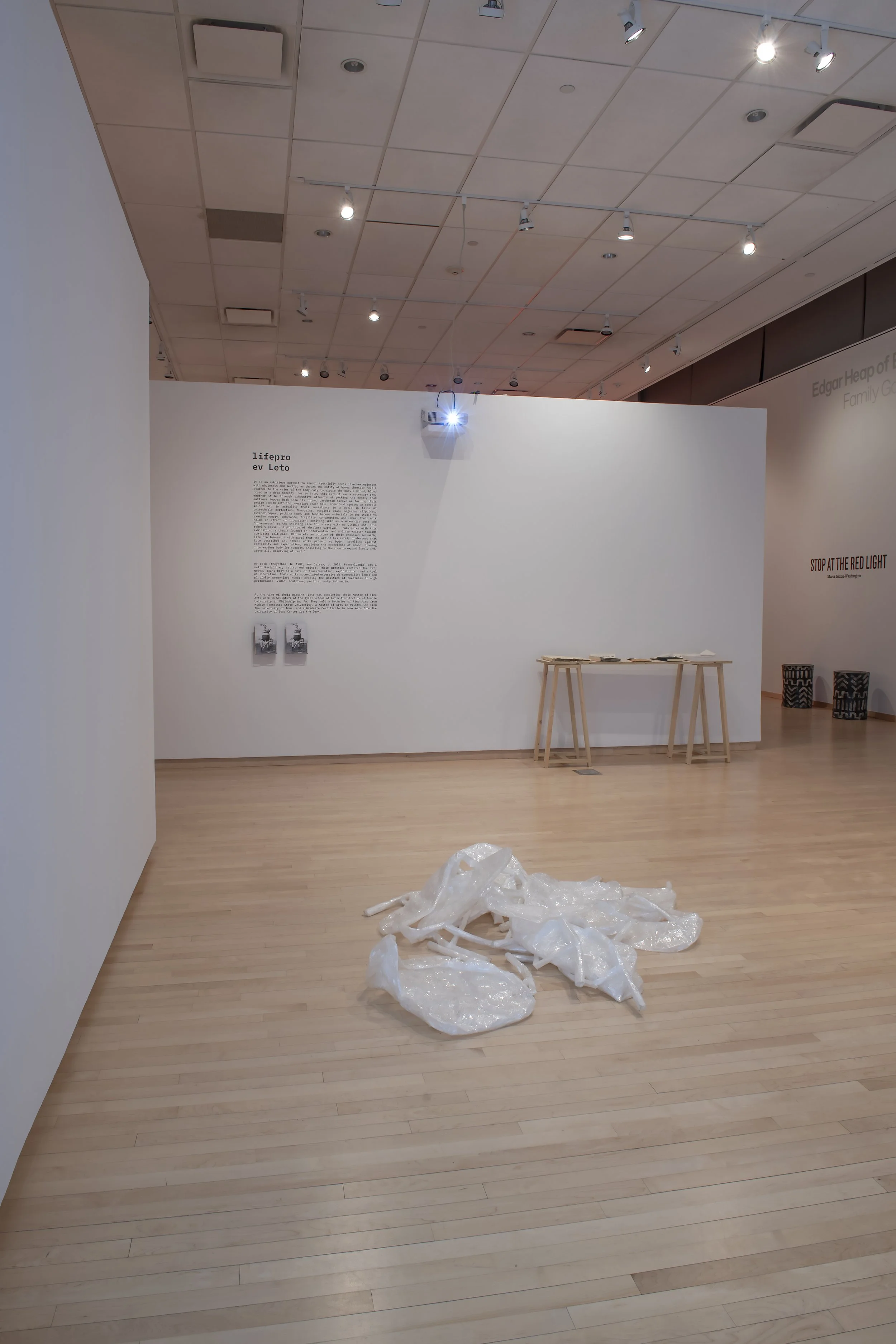 "life pro," Installation View, Photo Credit: John Carlano