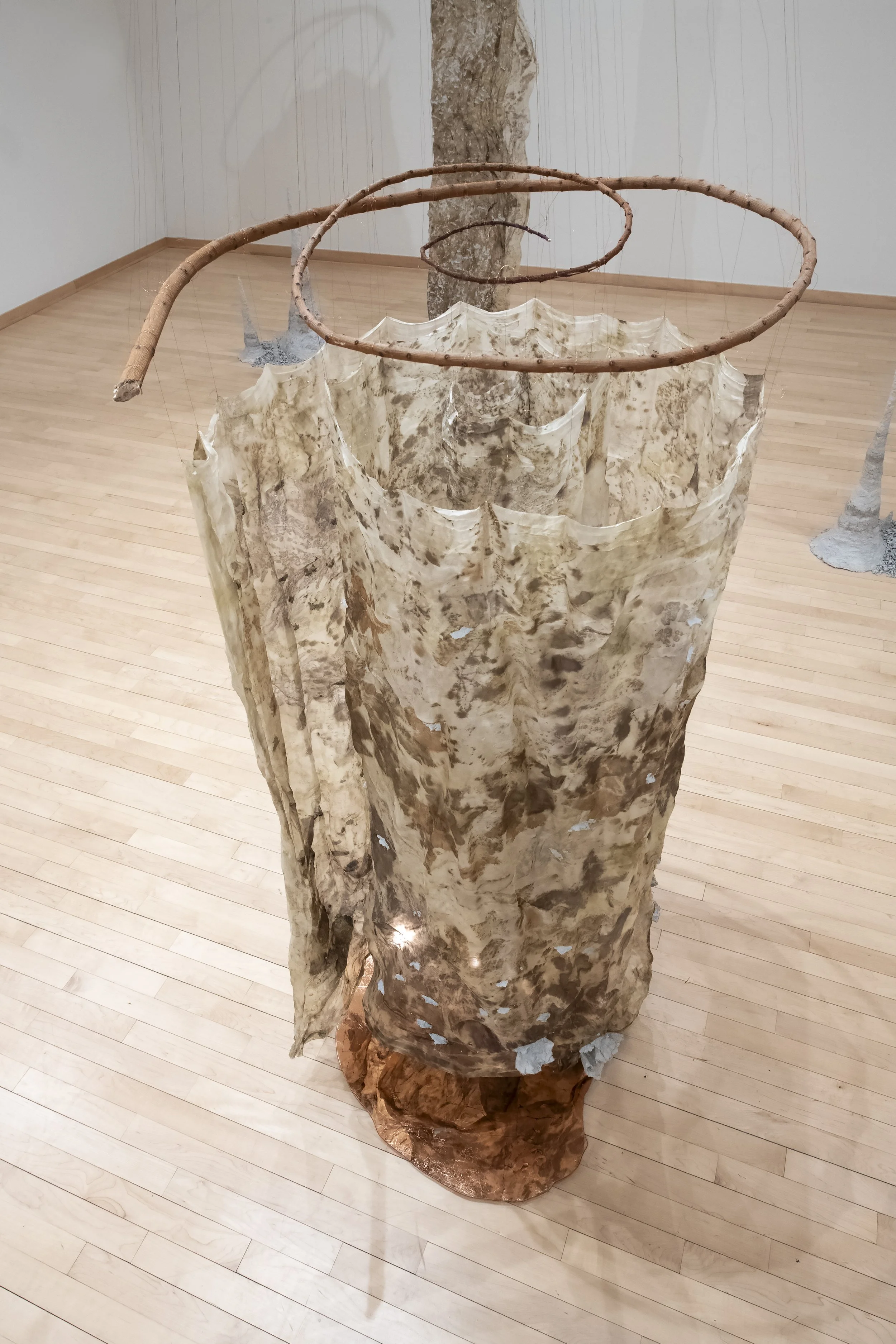"Syntropy Forms (Saints)," (detail) 

Silk dyed with leaves foraged from the farm I give my compost. Smoketree branches from the parking lot next door. Copper wire, plate, and leaf. Catalogs and magazines collected from numerous friends, recycled usi
