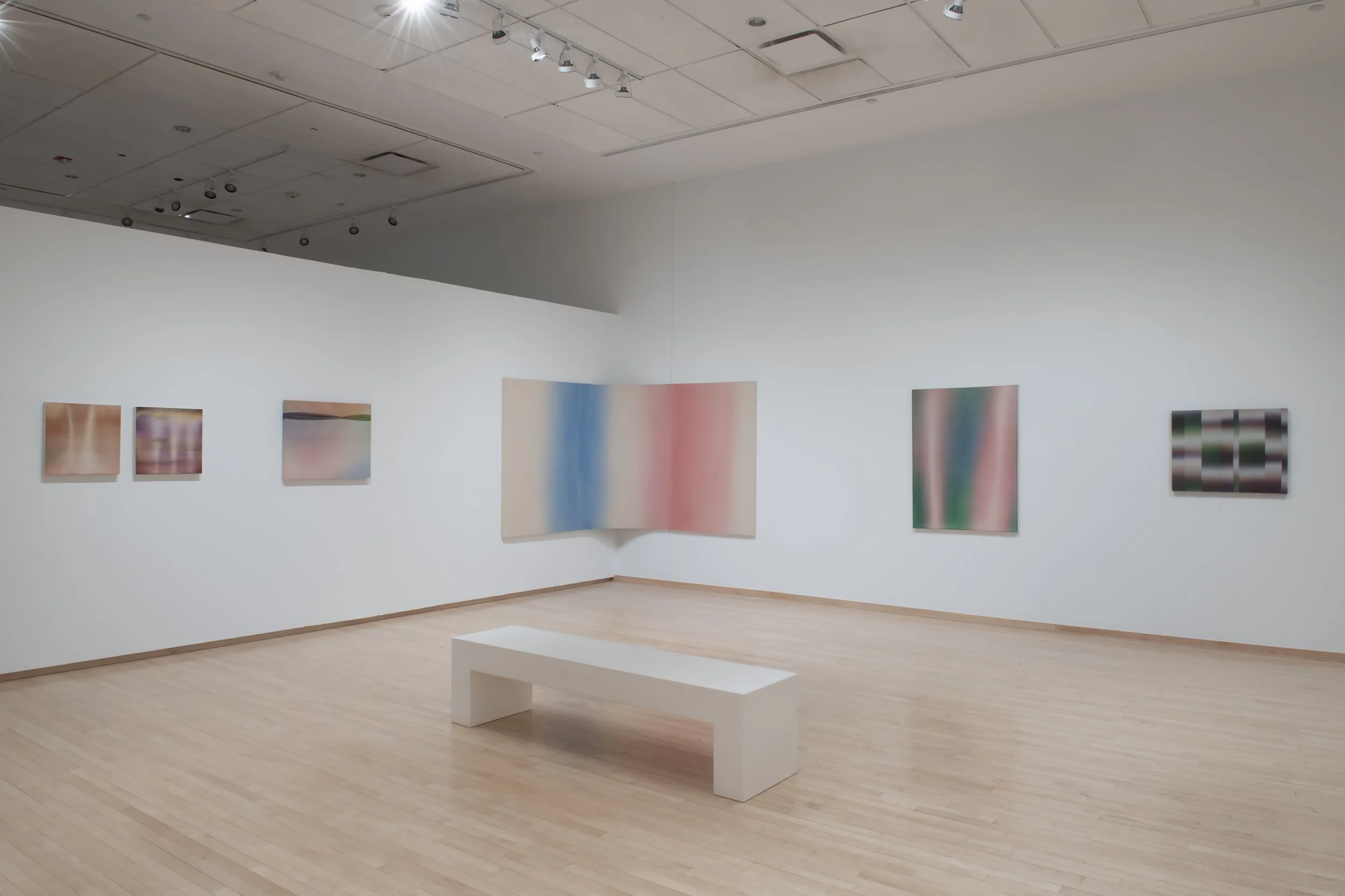 "Bloom" Installation View, Photo Credit: John Carlano