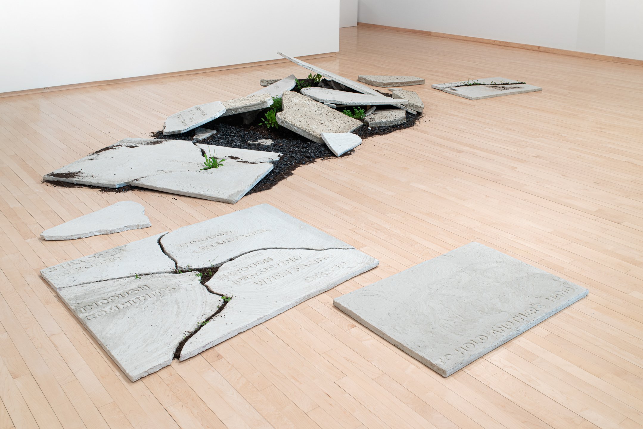 "Fault Lines," 2025, Concrete, Glass, Dirt, Dandelion, clover, Goldenrod, Alfalfa. Photo Credit: Neighboring States