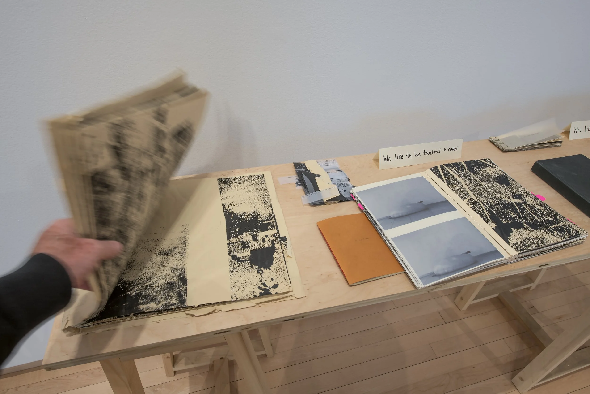 "life pro" (detail), Installation View, Photo Credit: John Carlano