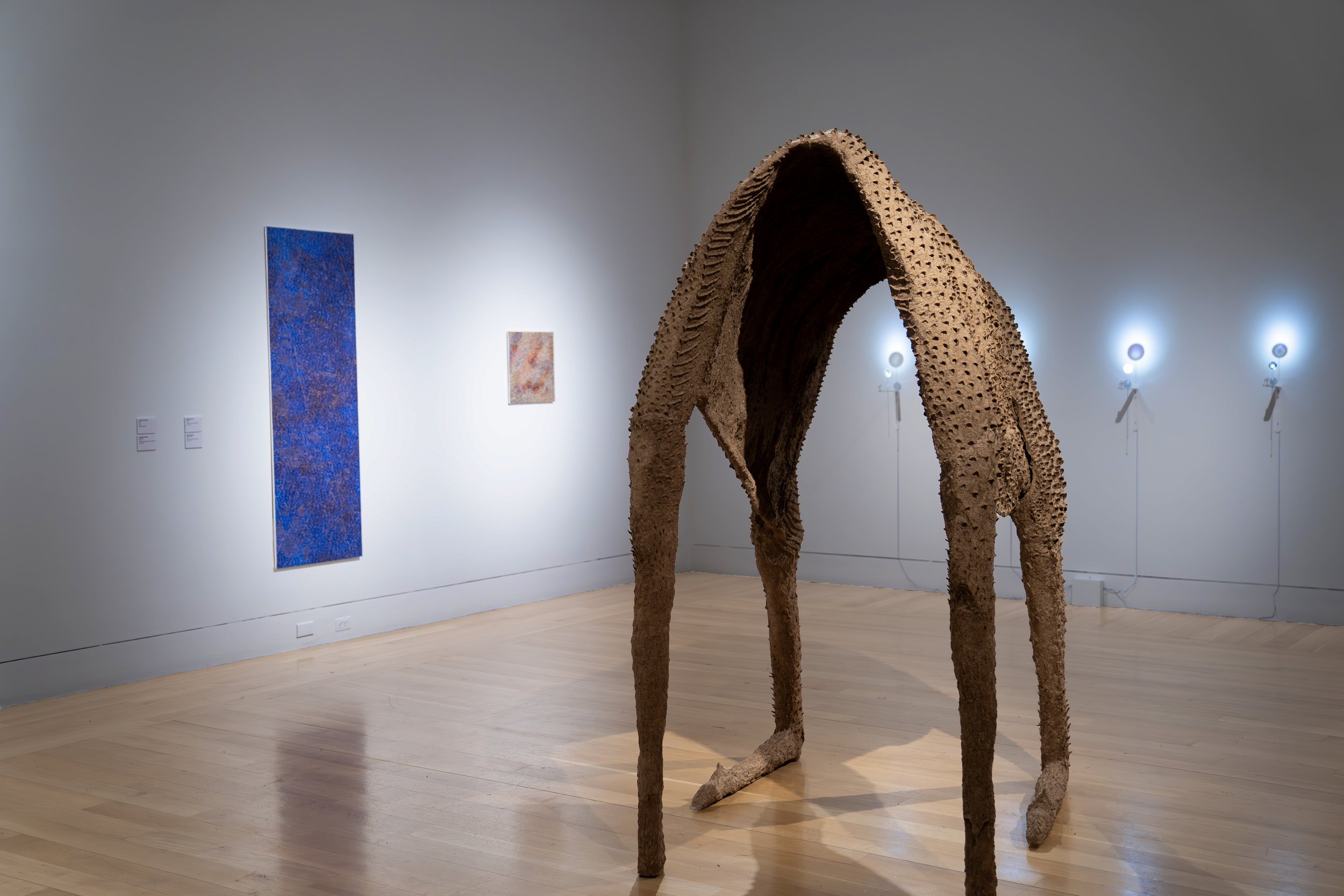 The Afterlife (installation view)