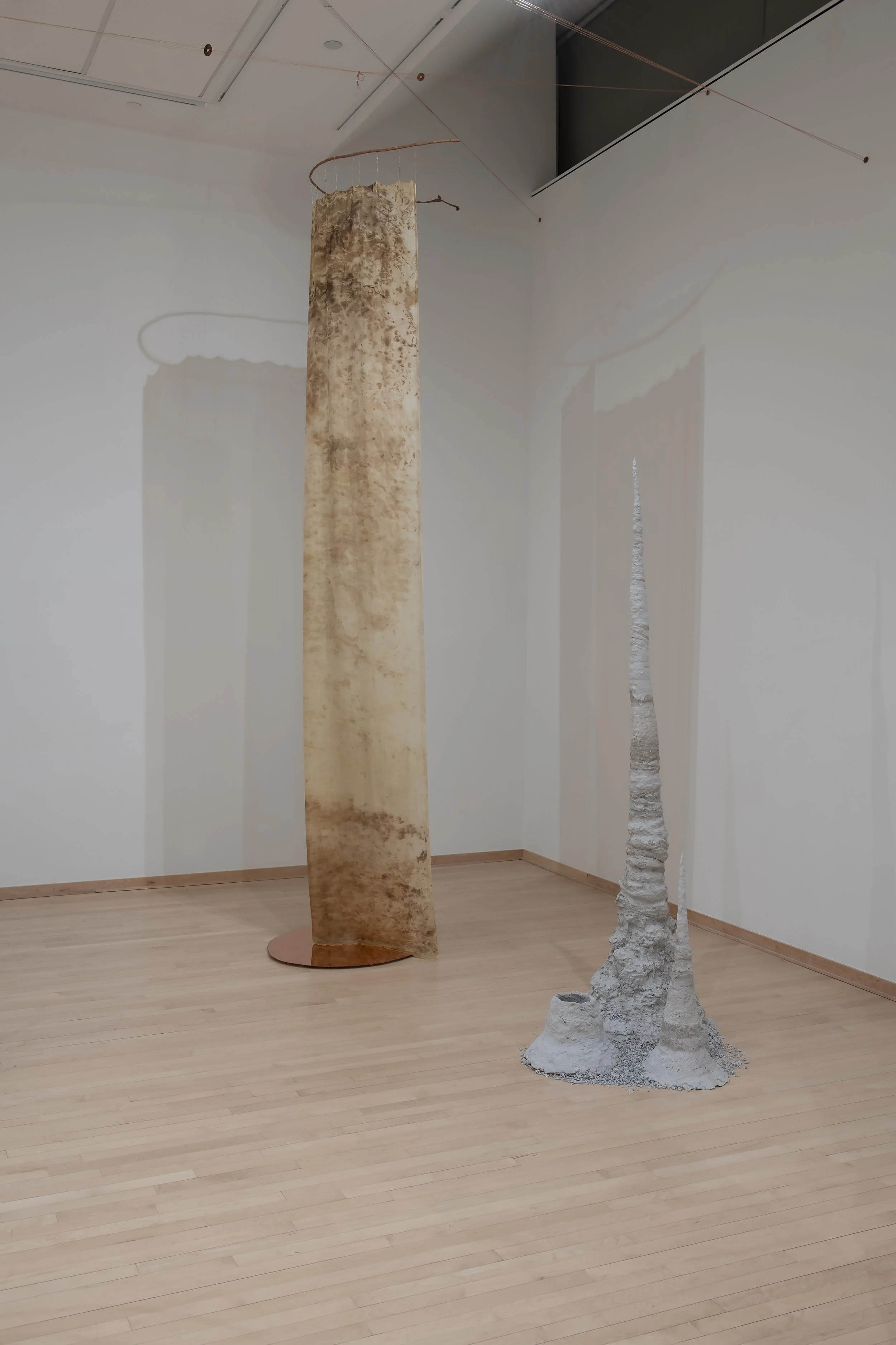 "Syntropy Forms (Saints)"

Installation view. 

Silk dyed with leaves foraged from the farm I give my compost. Smoketree branches from the parking lot next door. Copper wire, plate, and leaf. Catalogs and magazines collected from numerous friends, re