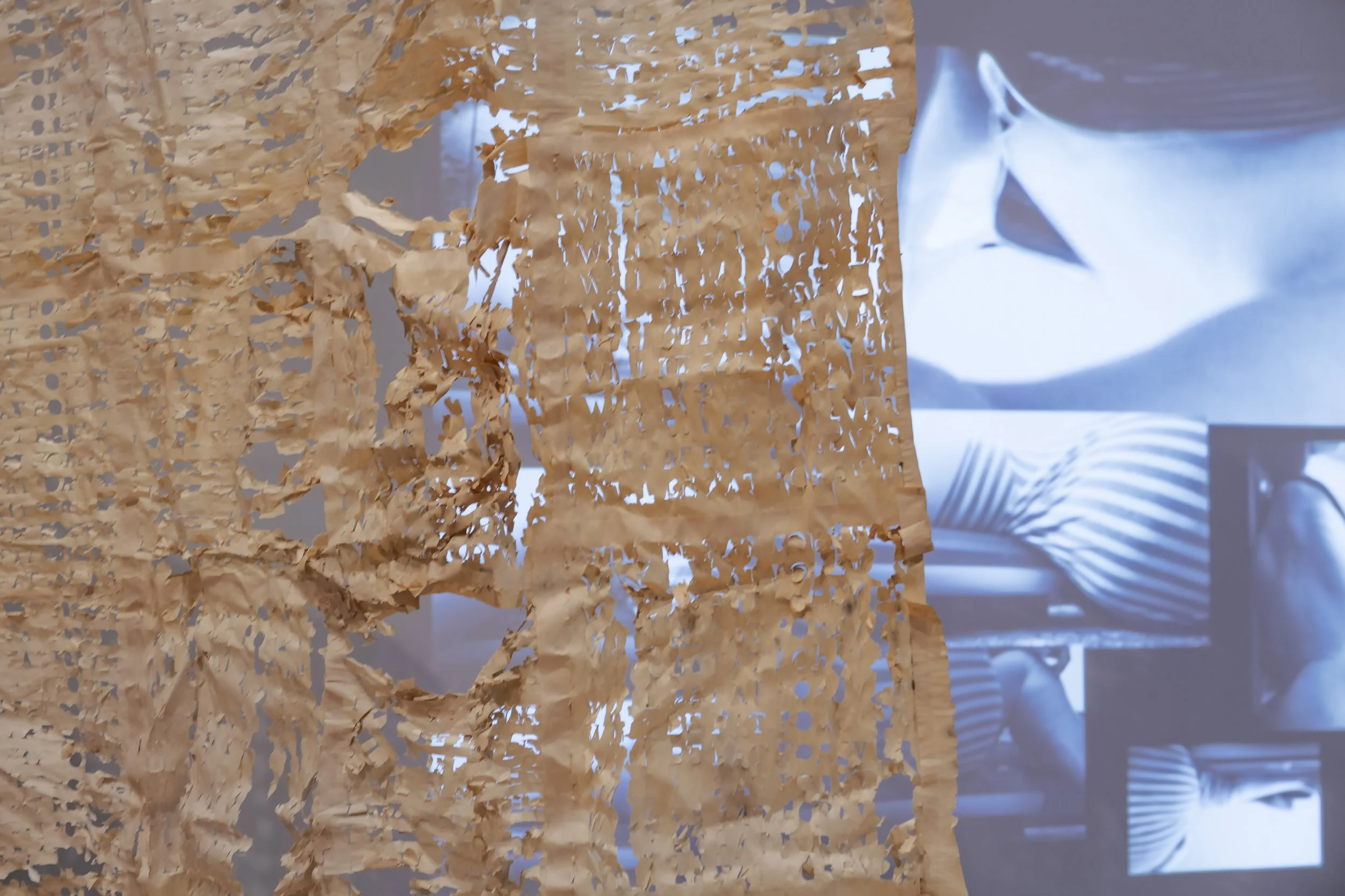 "life pro" (detail), Installation View, Photo Credit: John Carlano