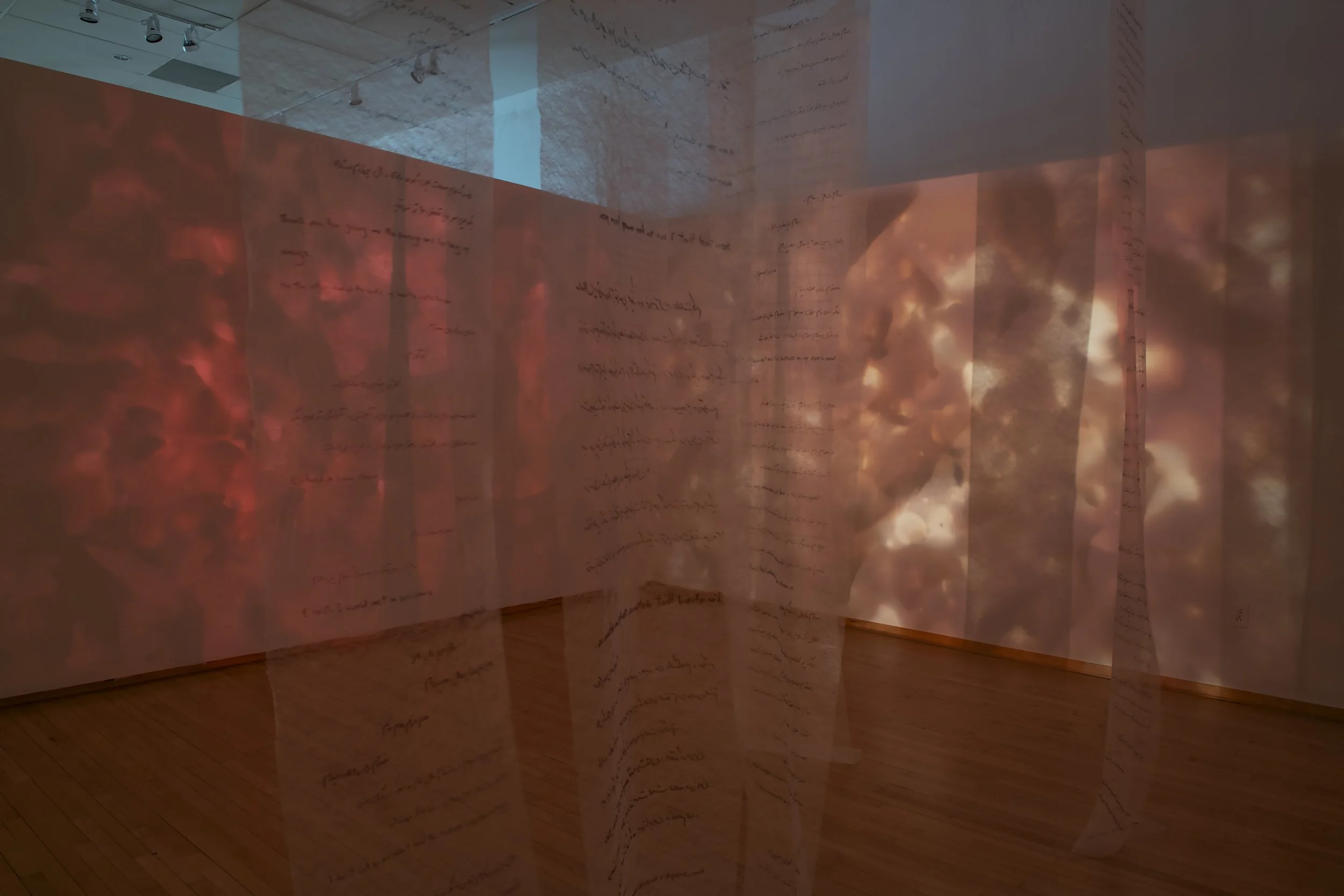 "Your Trace in the Farthest Nearness"
Installation view. 
Mixed media installation with overhead projection, phytograms, transparent fabric, and handwritten text. 

Dimensions variable. 

Photo credit: John Carlano 