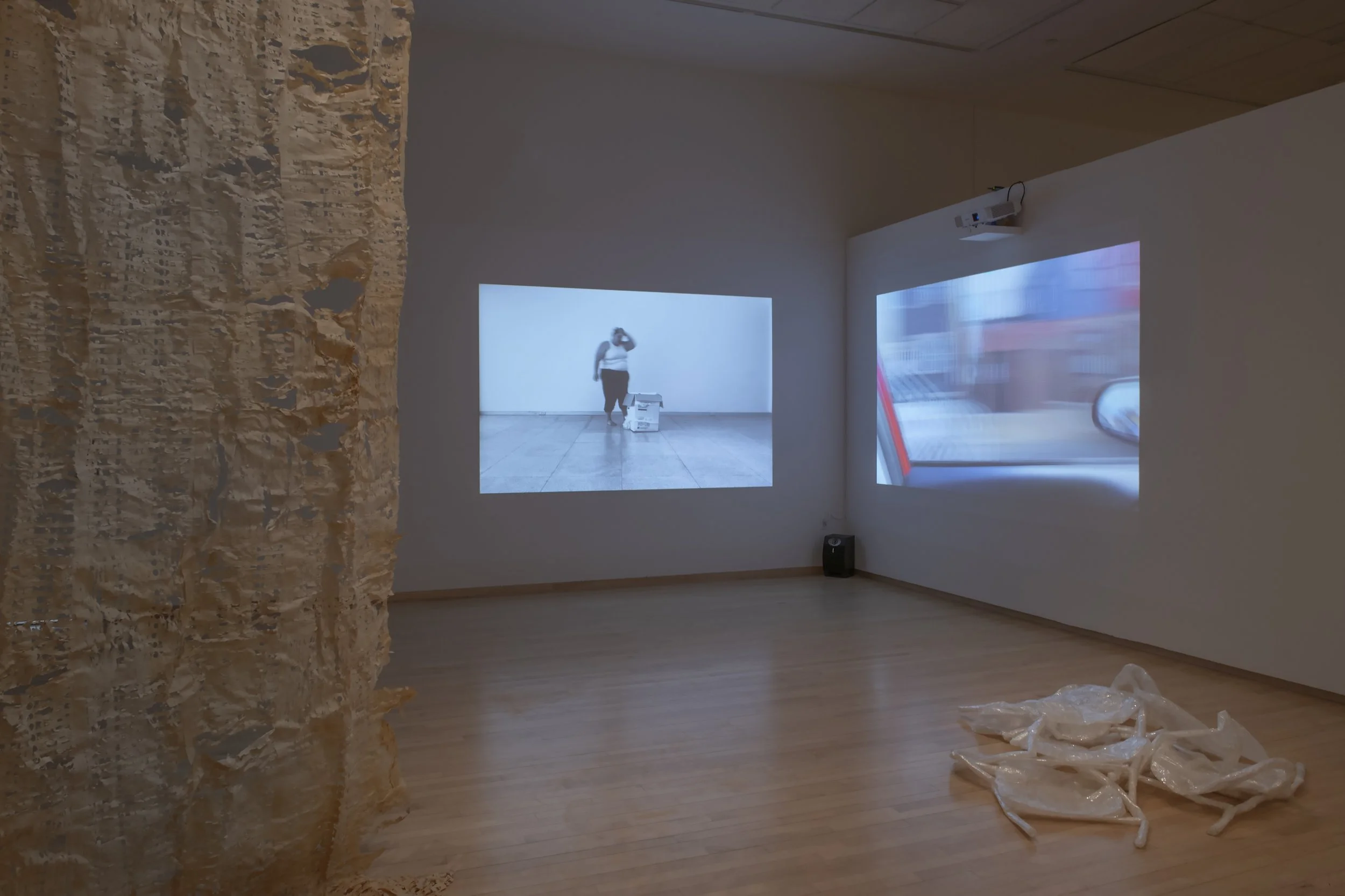 "life pro," Installation View, Photo Credit: John Carlano