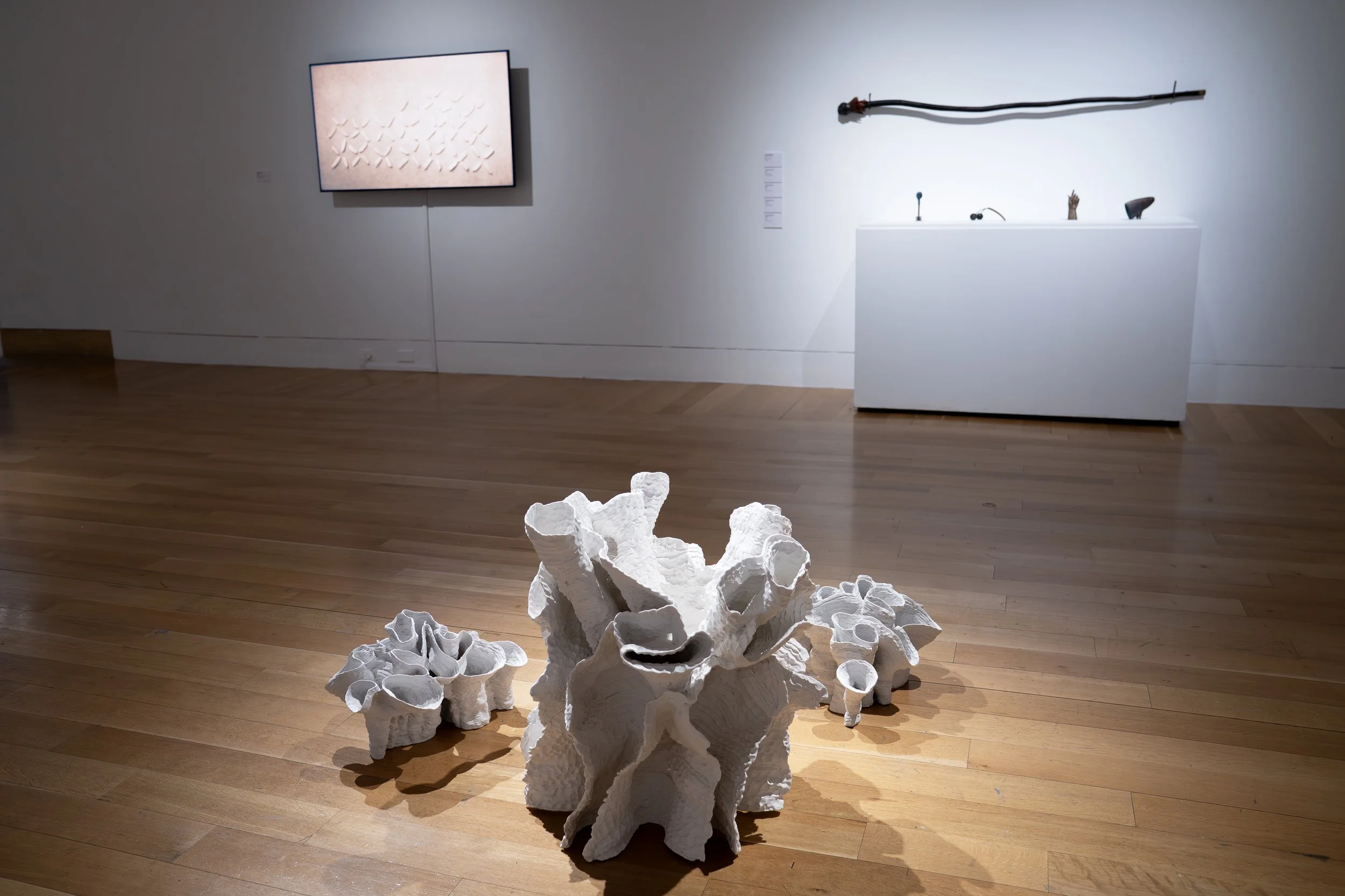 The Afterlife (installation view)