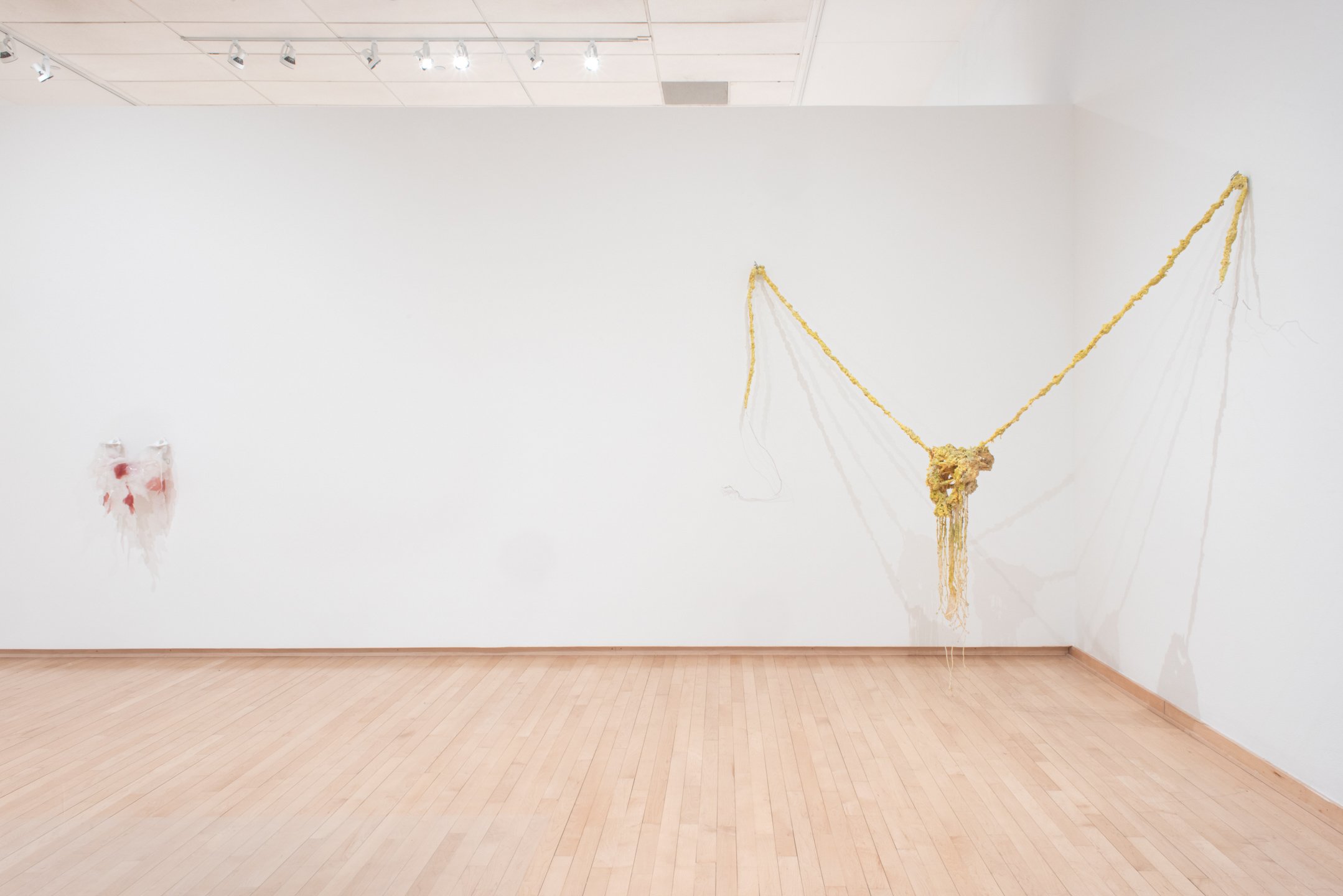 "I’m holding," 2025, Installation
Dimensions variable. Photo Credit: Neighboring States