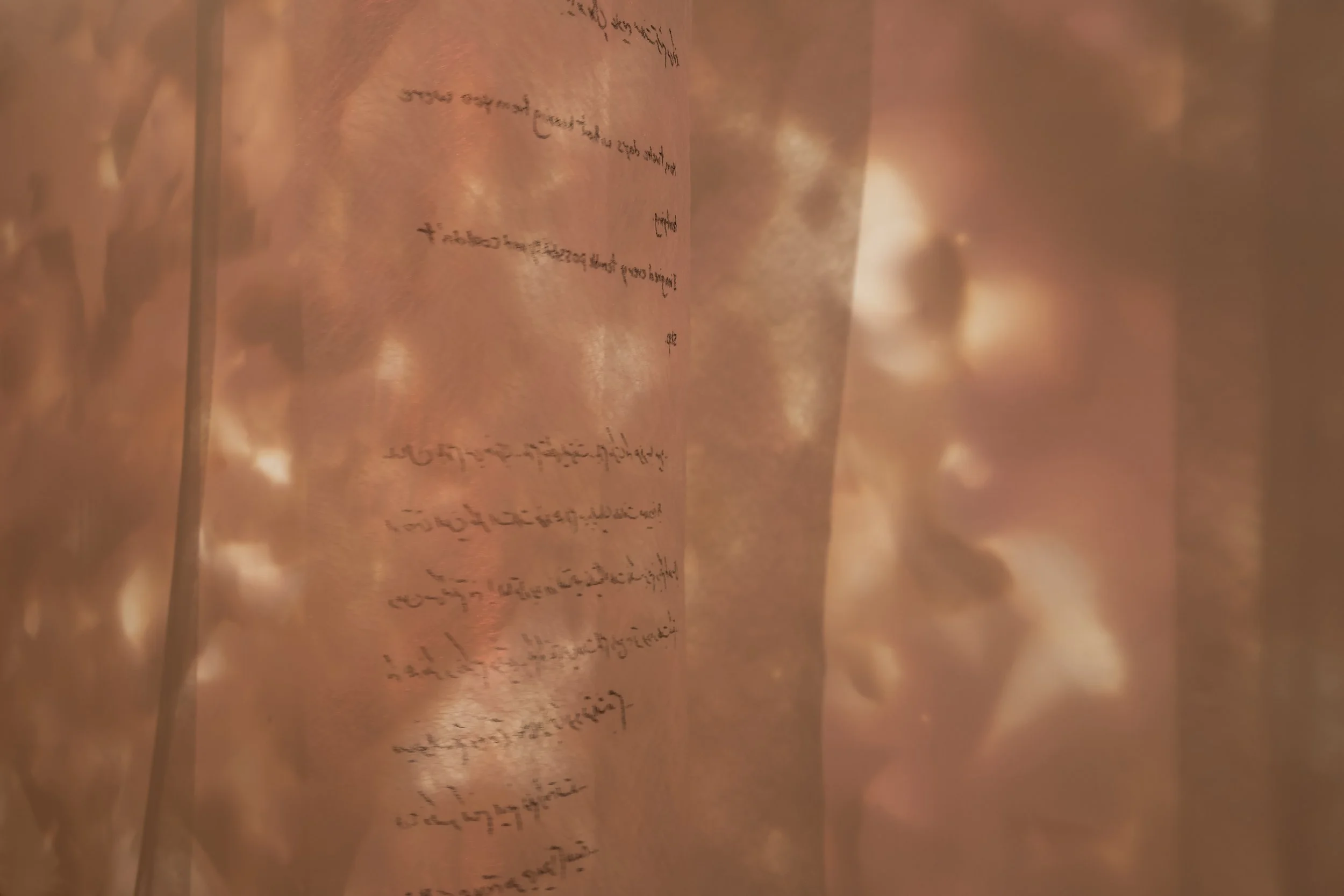 "Your Trace in the Farthest Nearness"
Detail. 
Mixed media installation with overhead projection, phytograms, transparent fabric, and handwritten text. 

Dimensions variable. 

Photo credit: John Carlano 