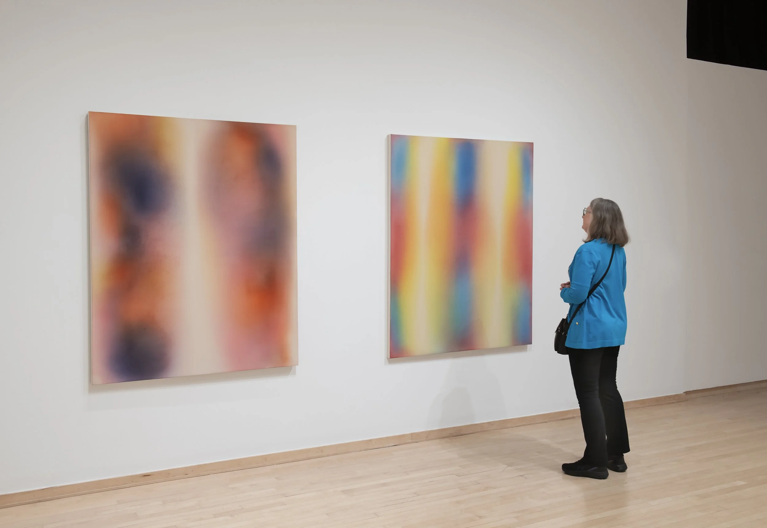 "Bloom" Installation View, Photo Credit: John Carlano