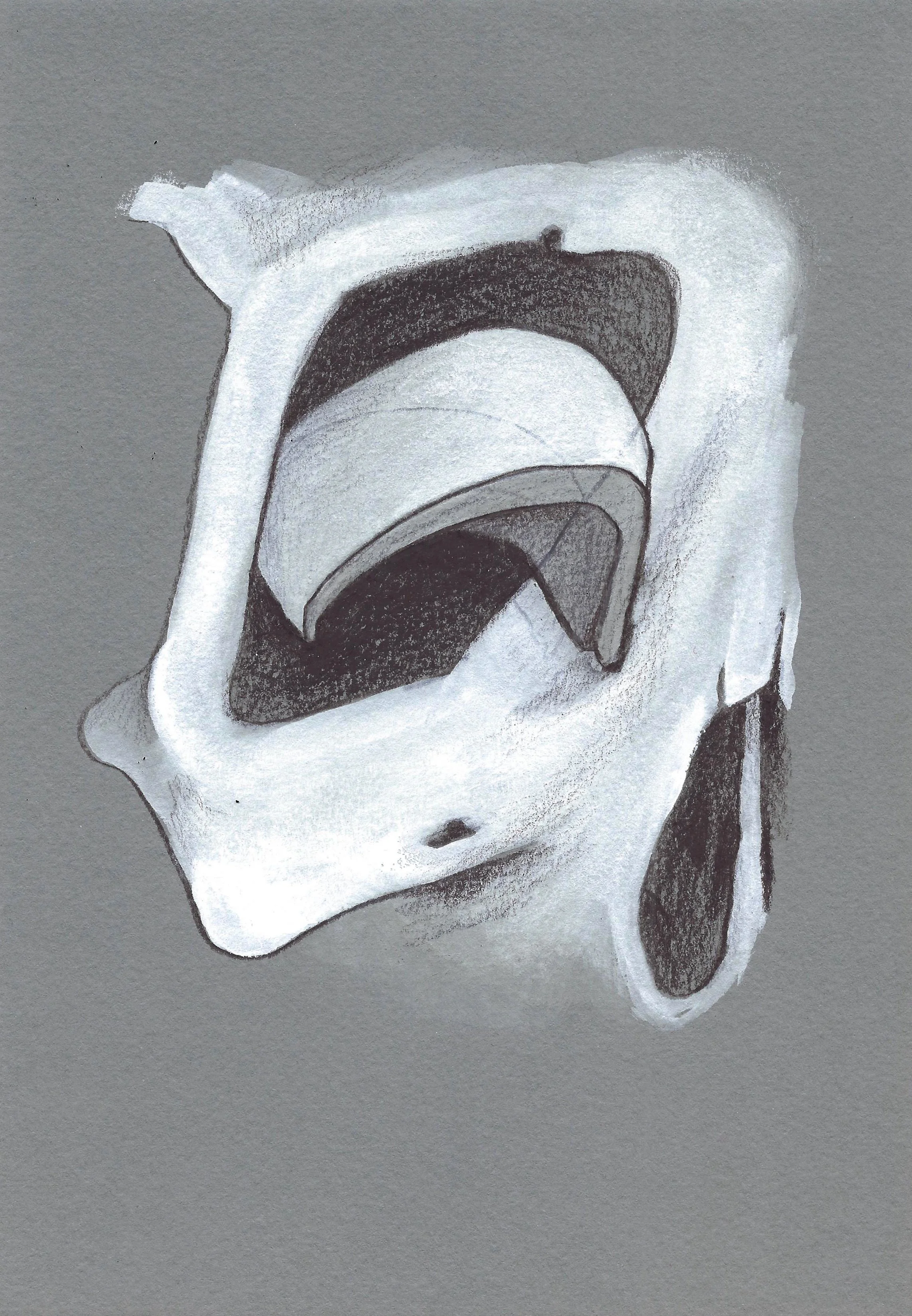 Bone Proposals