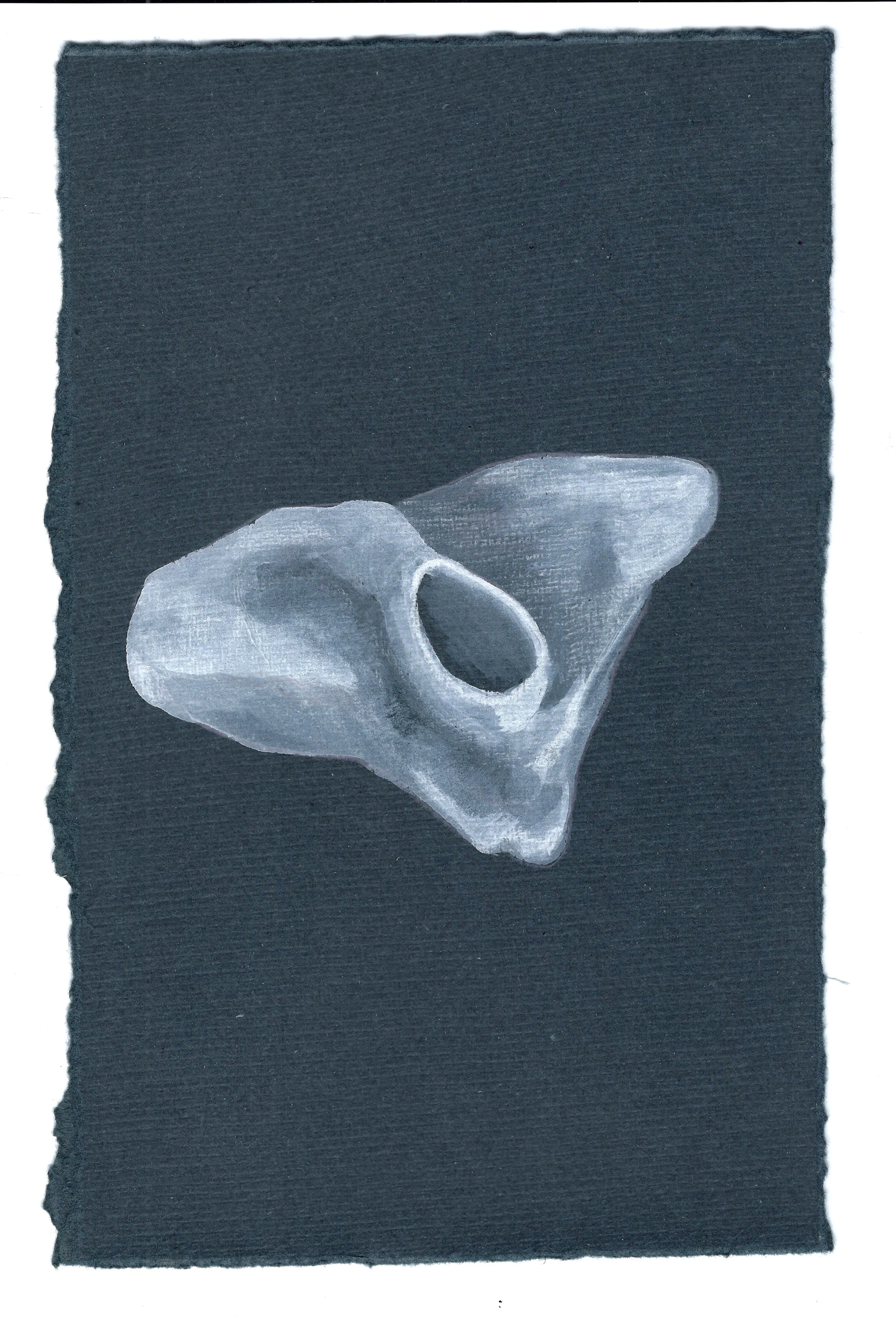 Belly Button Plate.jpg
