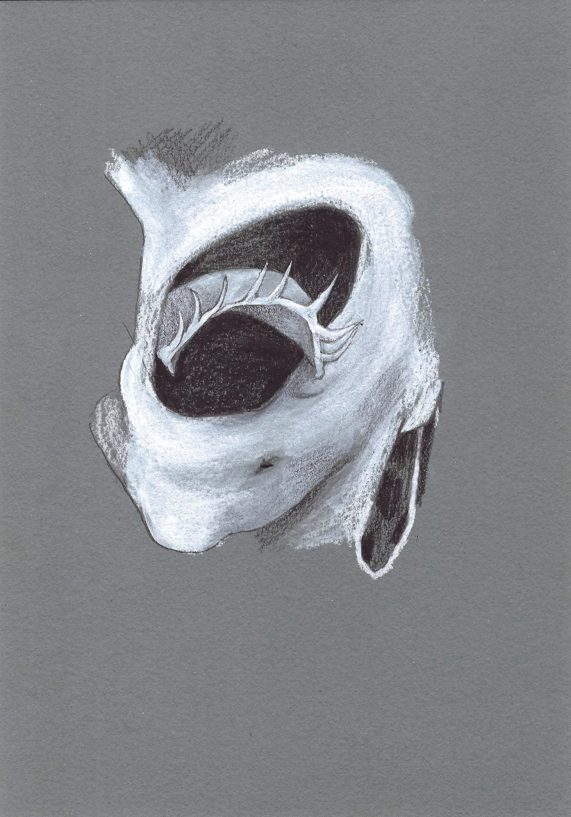 blackout eyelid defensive variant 1.jpg