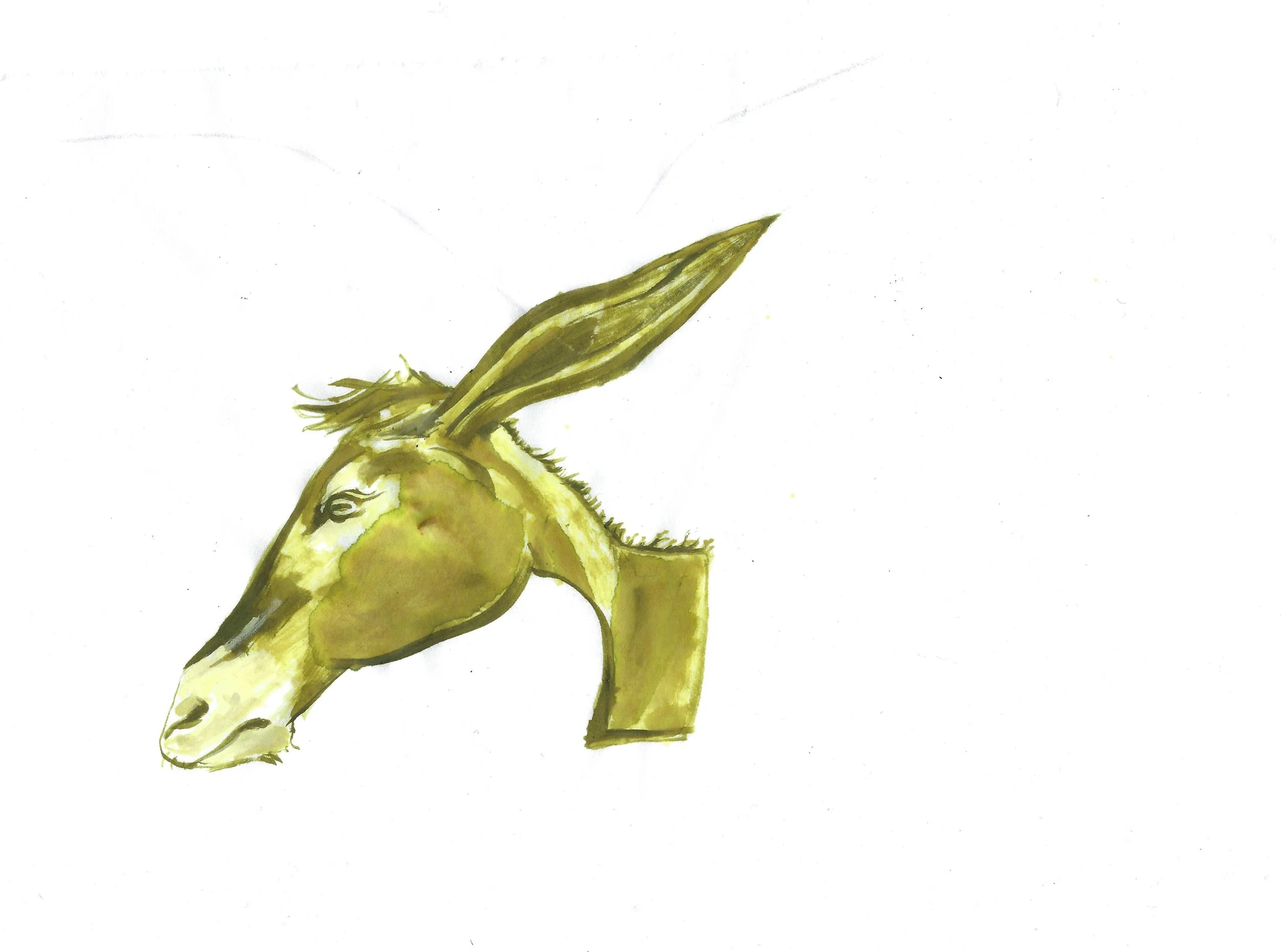 mule 2.jpg