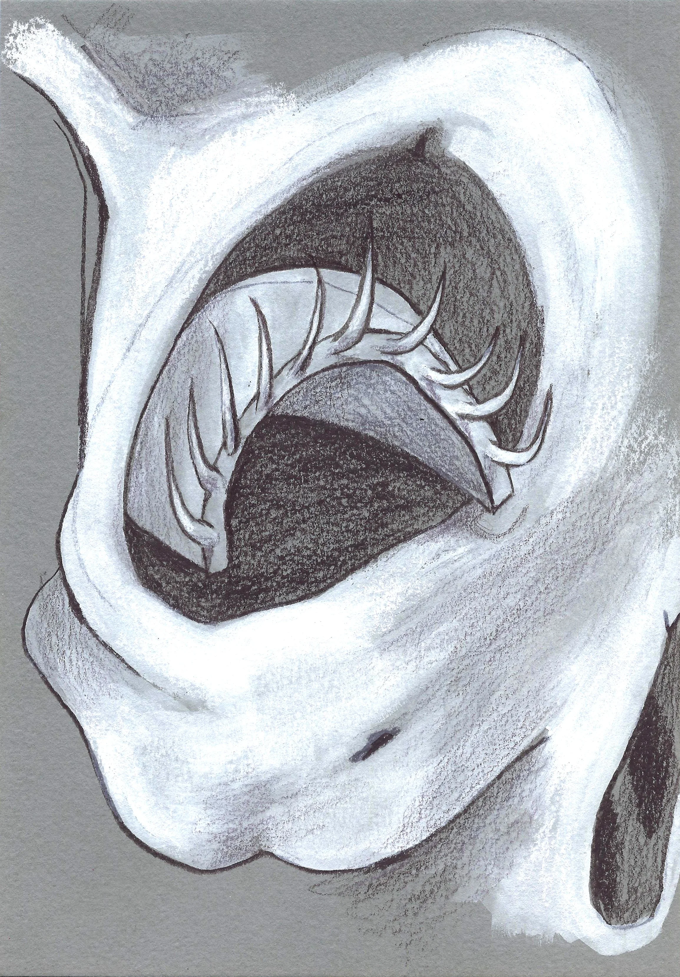 blackout eyelid defensive variant 2.jpg