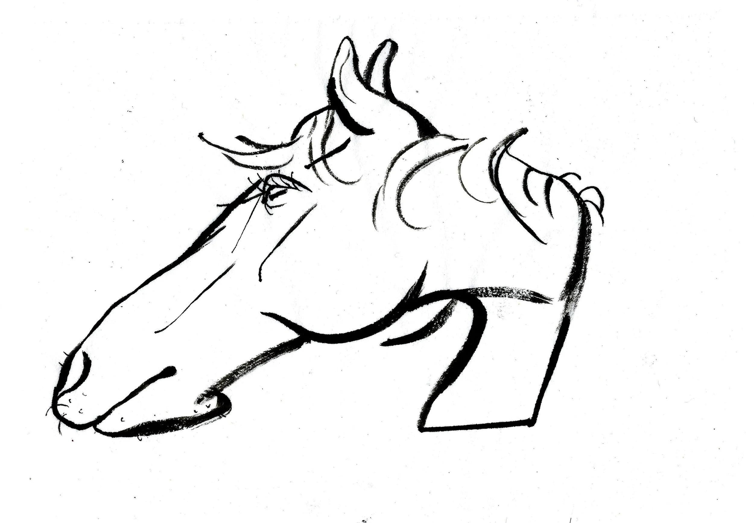 mule 1.jpg