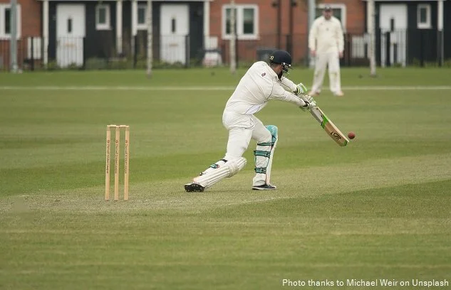Cricket 1.jpg