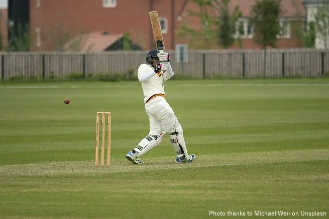 Cricket 2.jpg