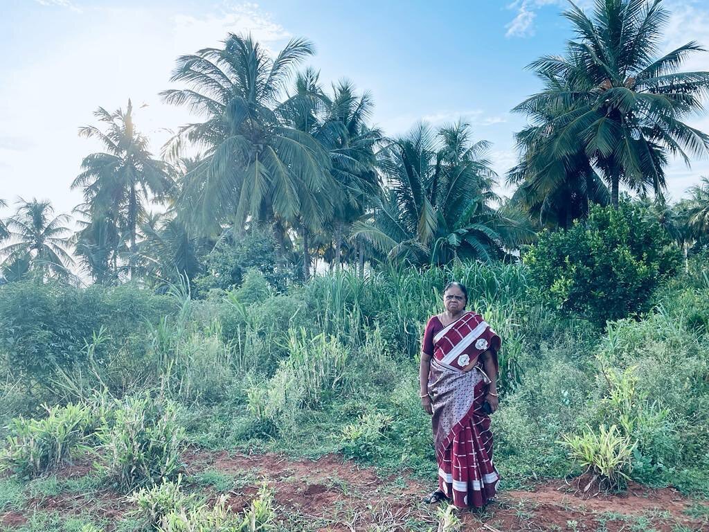 This is a photo of my jungle grandma in Kila Kuttai, Tamil Nadu
 
Recently our jungle gifted away 13 mango sample therapy sessions in celebration of Sathana&rsquo;s 26th bday 

We have been helping jungle bbs &amp; Tamil bbs with anxiety, depression,