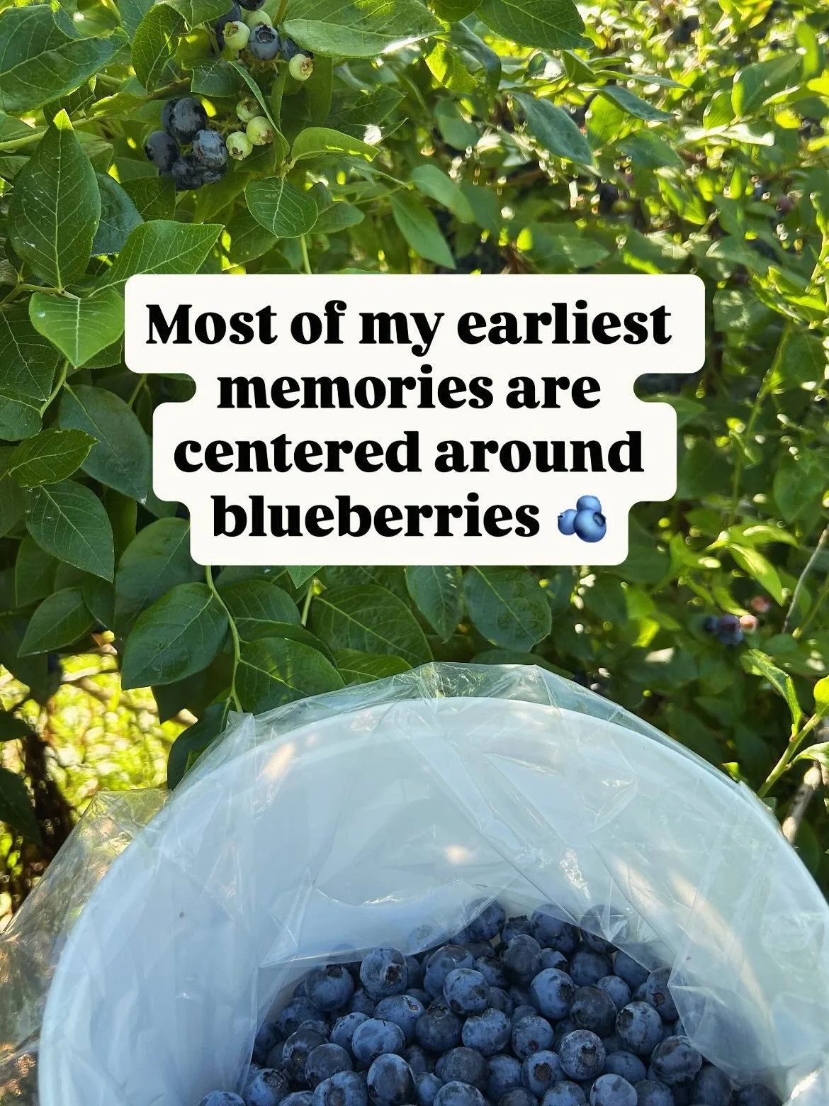 As technology accelerates, your unique experiences and memories become even more powerful. 
Like these childhood moments in the blueberry patch. 🫐 
I can literally close my eyes and go back to these moments. They are a part of the fabric of who I