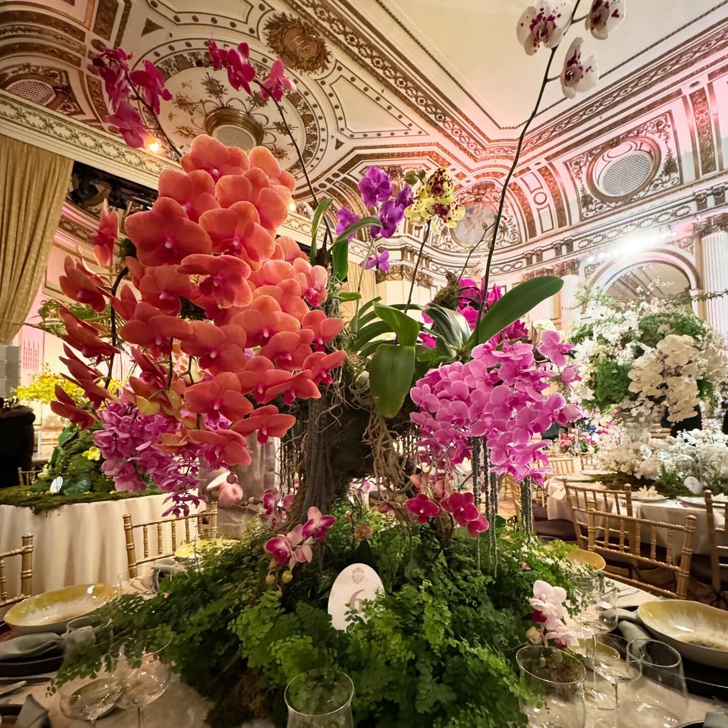 The Annual @nybg Orchid Dinner... Such a dream to be on the design committee this year. Am so grateful to my love @higginsnyc for all his support and engineering, @yannikatthedisco for his help, @trevormacleod for his amazing styling and my tabletop 