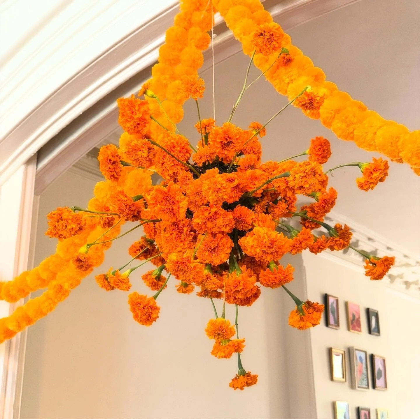 Happy Dia de Muertos 🌼🌼🌼 Had some fun with marigolds for our annual party. And created an ofrenda for our late puggy girl💖