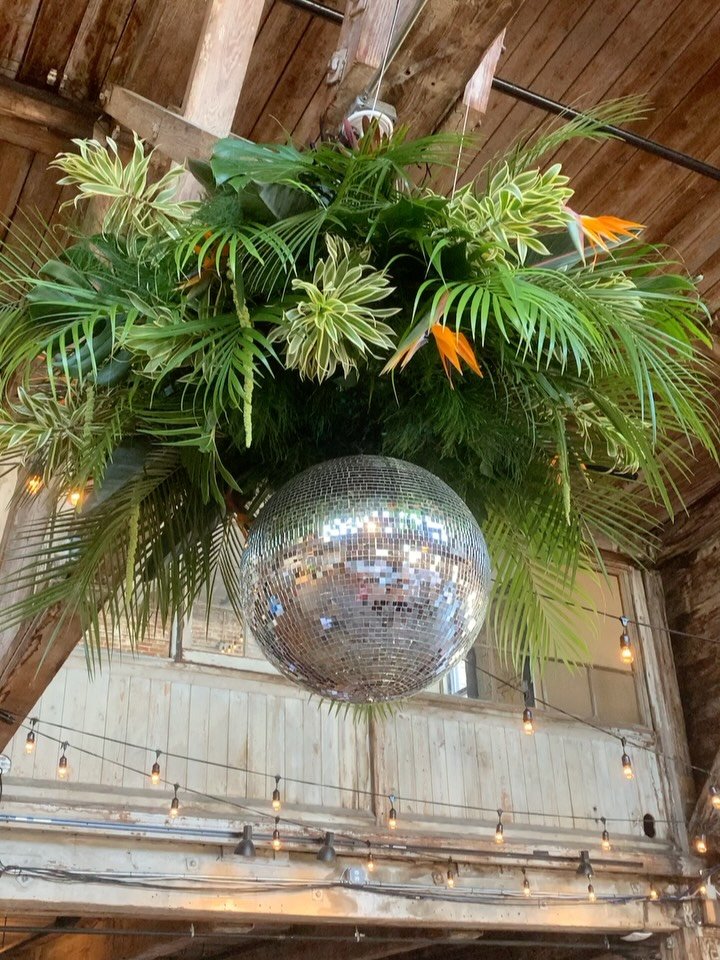 On this 9 degree day here in NYC, bringing you some sparkly tropical vibes🌴✨🪩 @greenpoint_loft