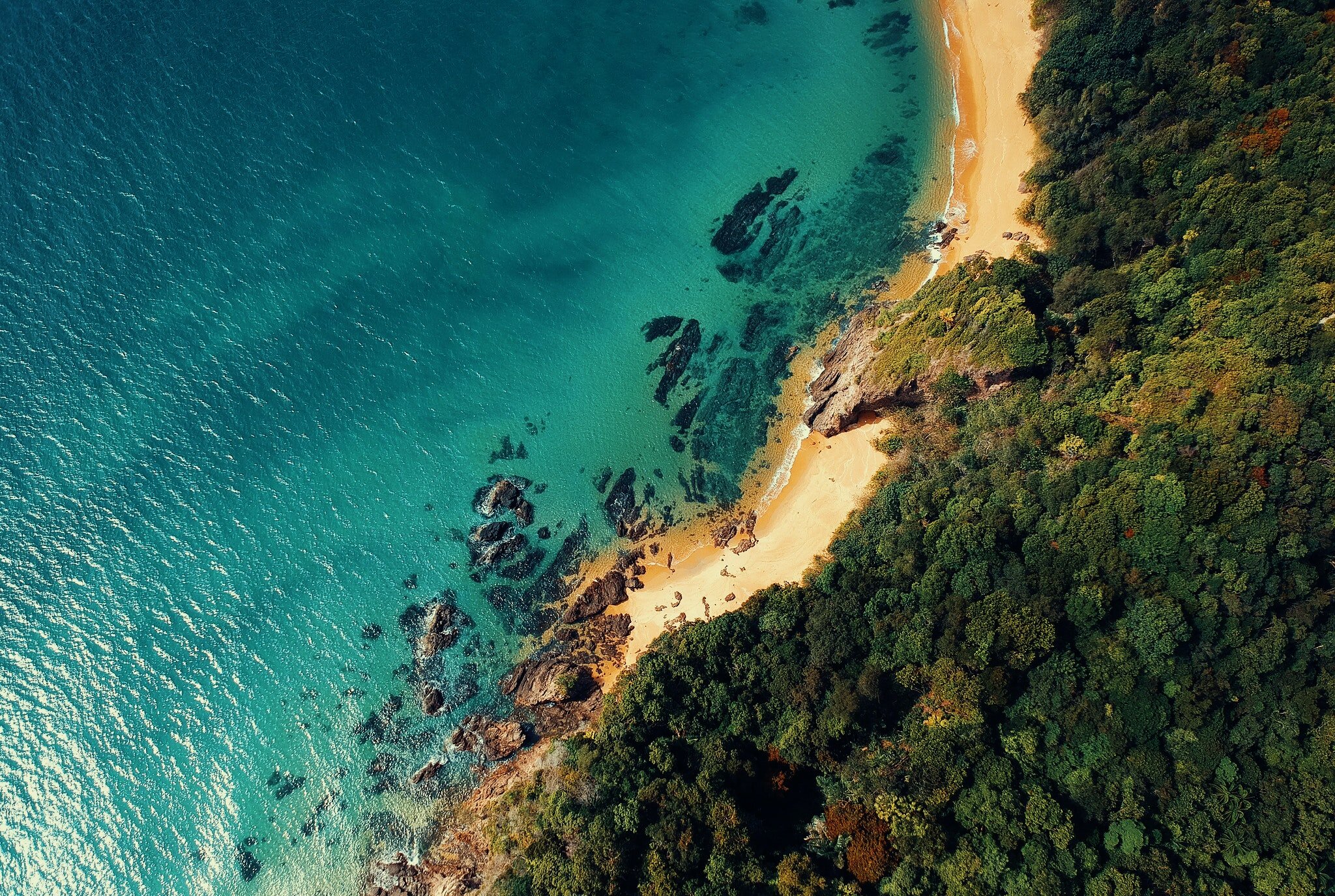 water sand trees by pexels.jpg