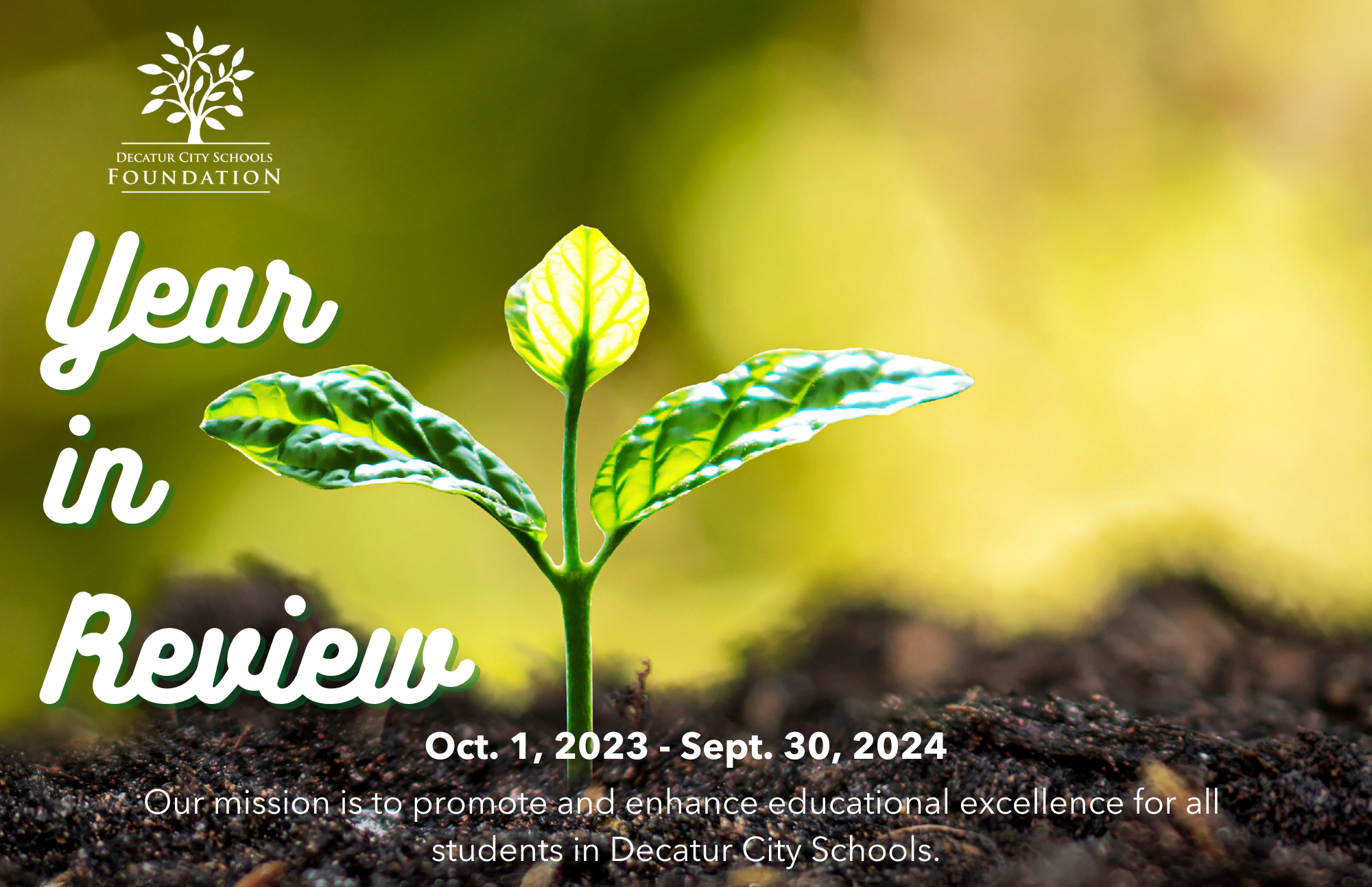 2023-2024 DCSF Year in Review Website Graphic.png