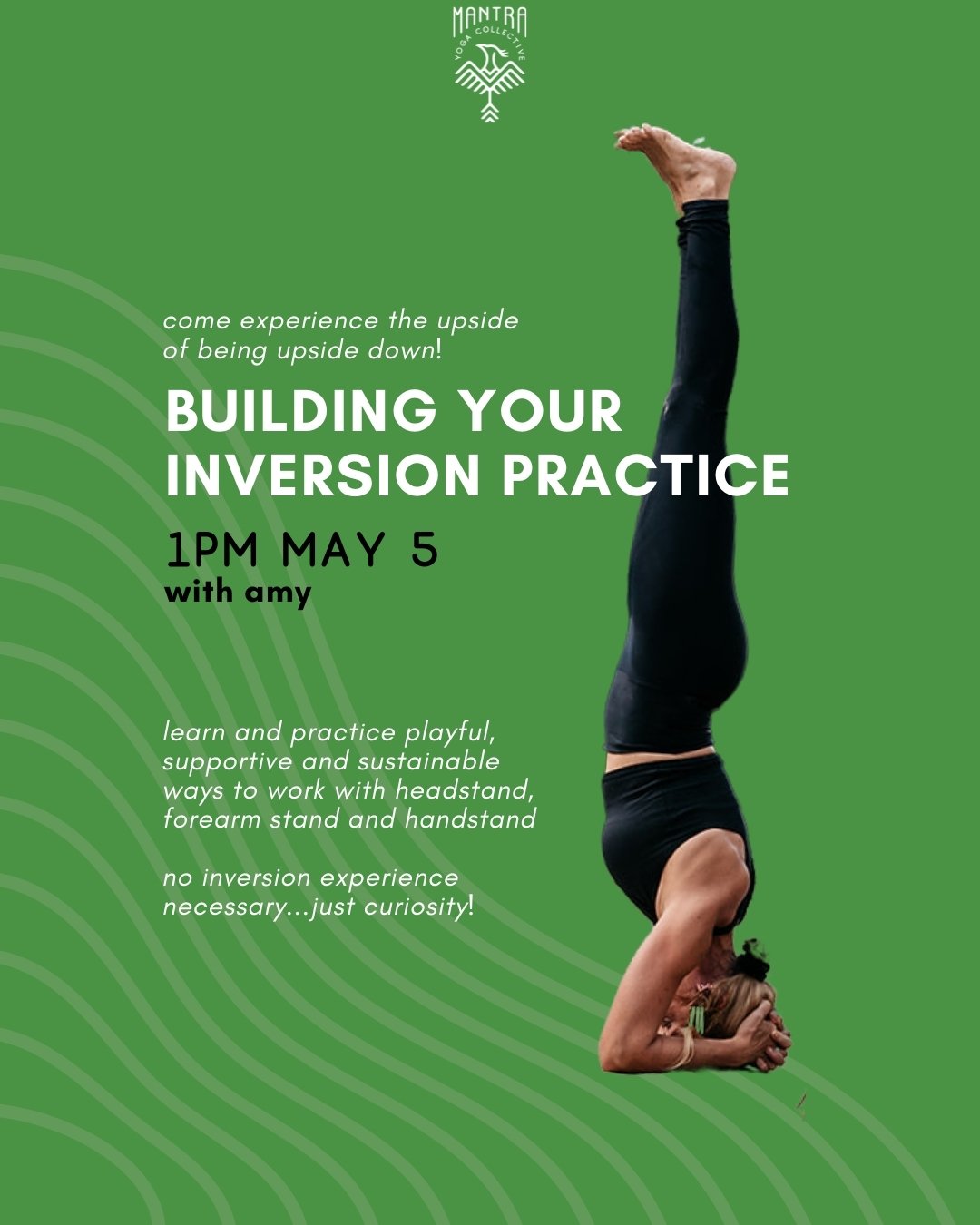 Have you *always* wanted to learn an inversion... but don't know where to start? This is the PERFECT workshop for you! 

There are so many ways to play with inversions &mdash; and Amy will guide you towards an inviting and sustainable way to work wit