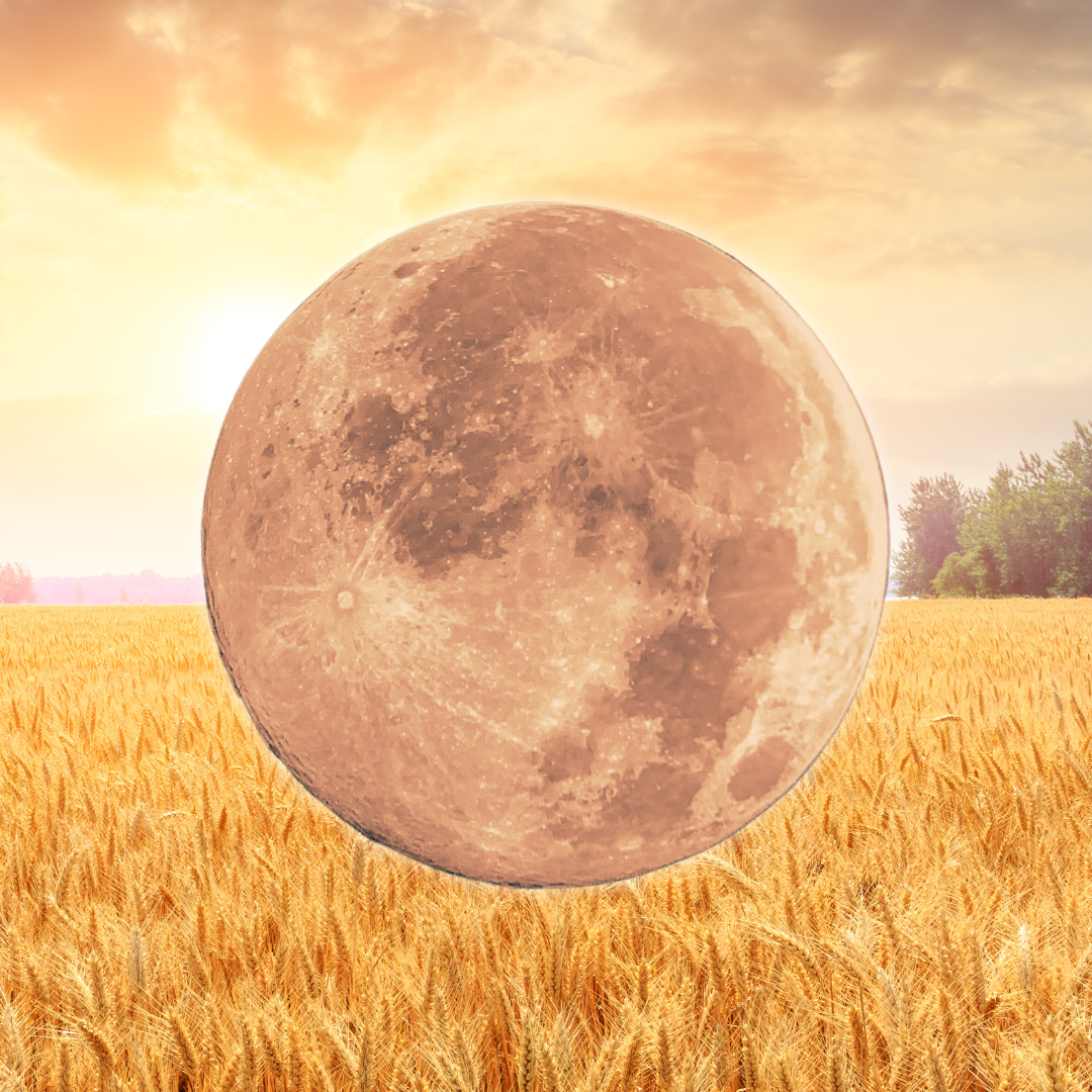 September Full Moon Yoga + Sound Bath with Kewal